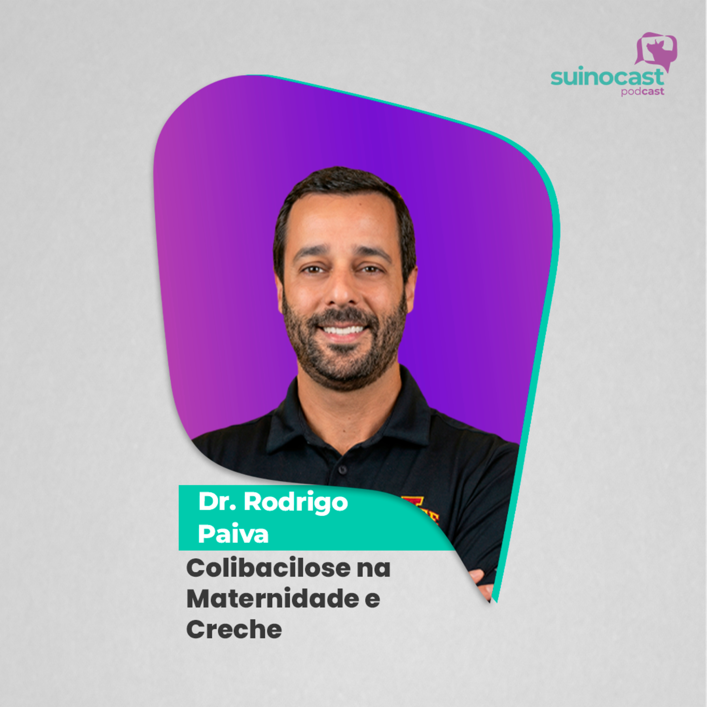 COLIBACILOSE EM SUÍNOS - MATERNIDADE E CHECHE - Dr. Rodrigo Paiva | Ep. 359
