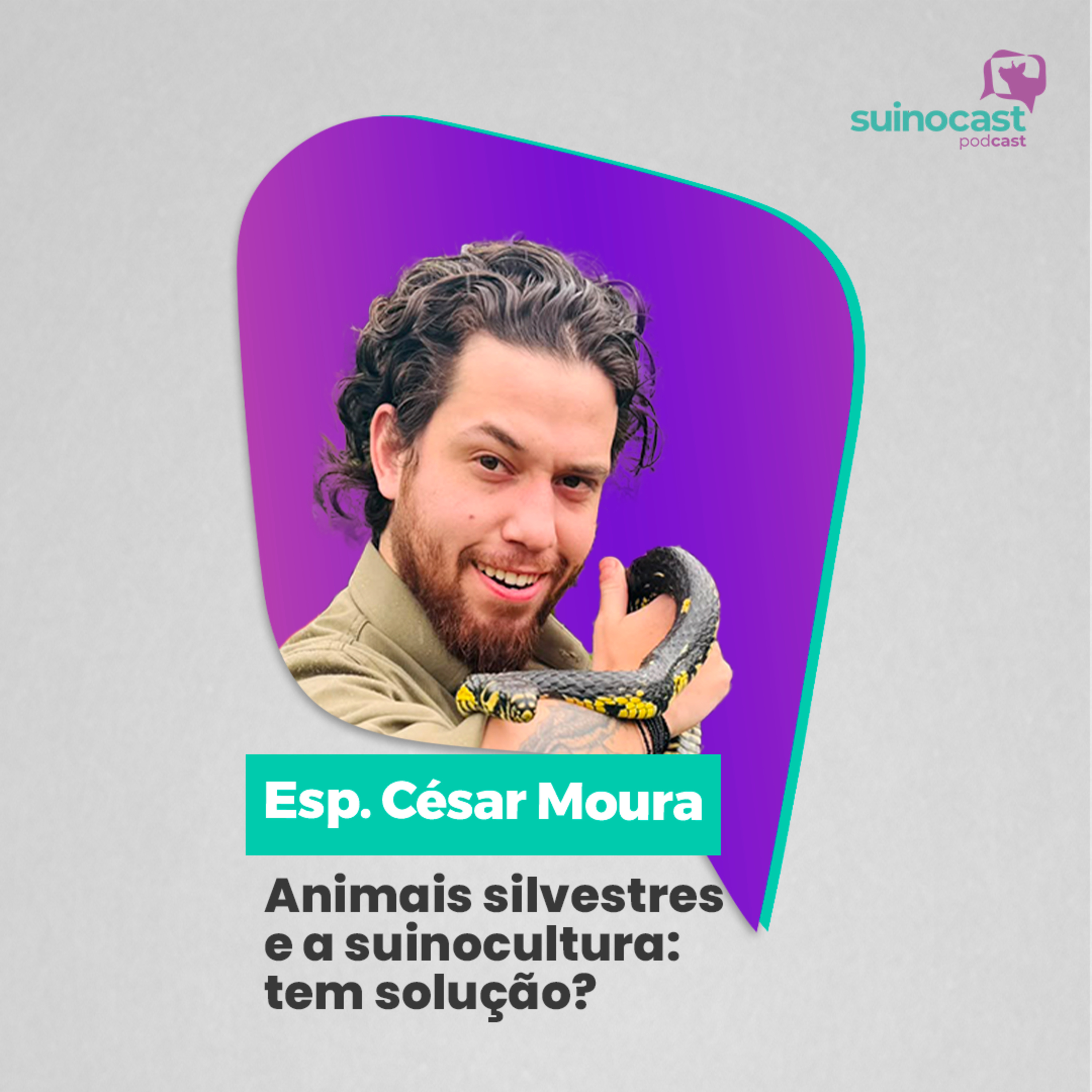 ANIMAIS SILVESTRES E A SUINOCULTURA: TEM SOLUÇÃO? - Esp. César Moura | Ep. 379