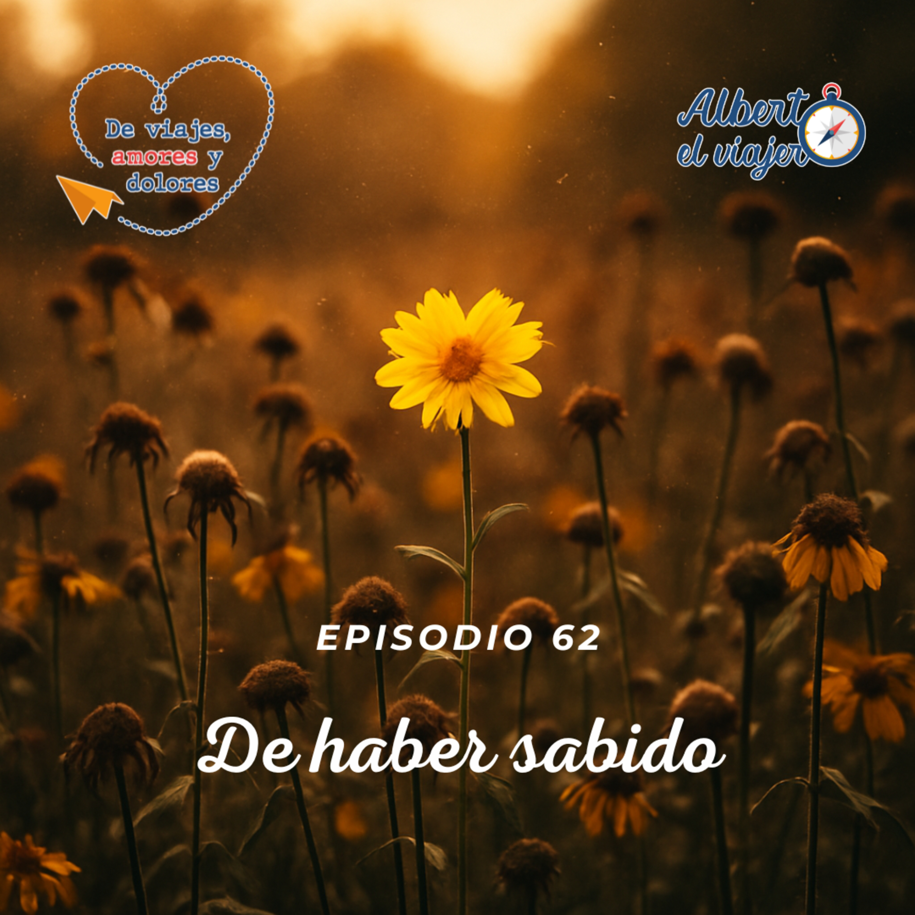 De haber sabido De haber sabido