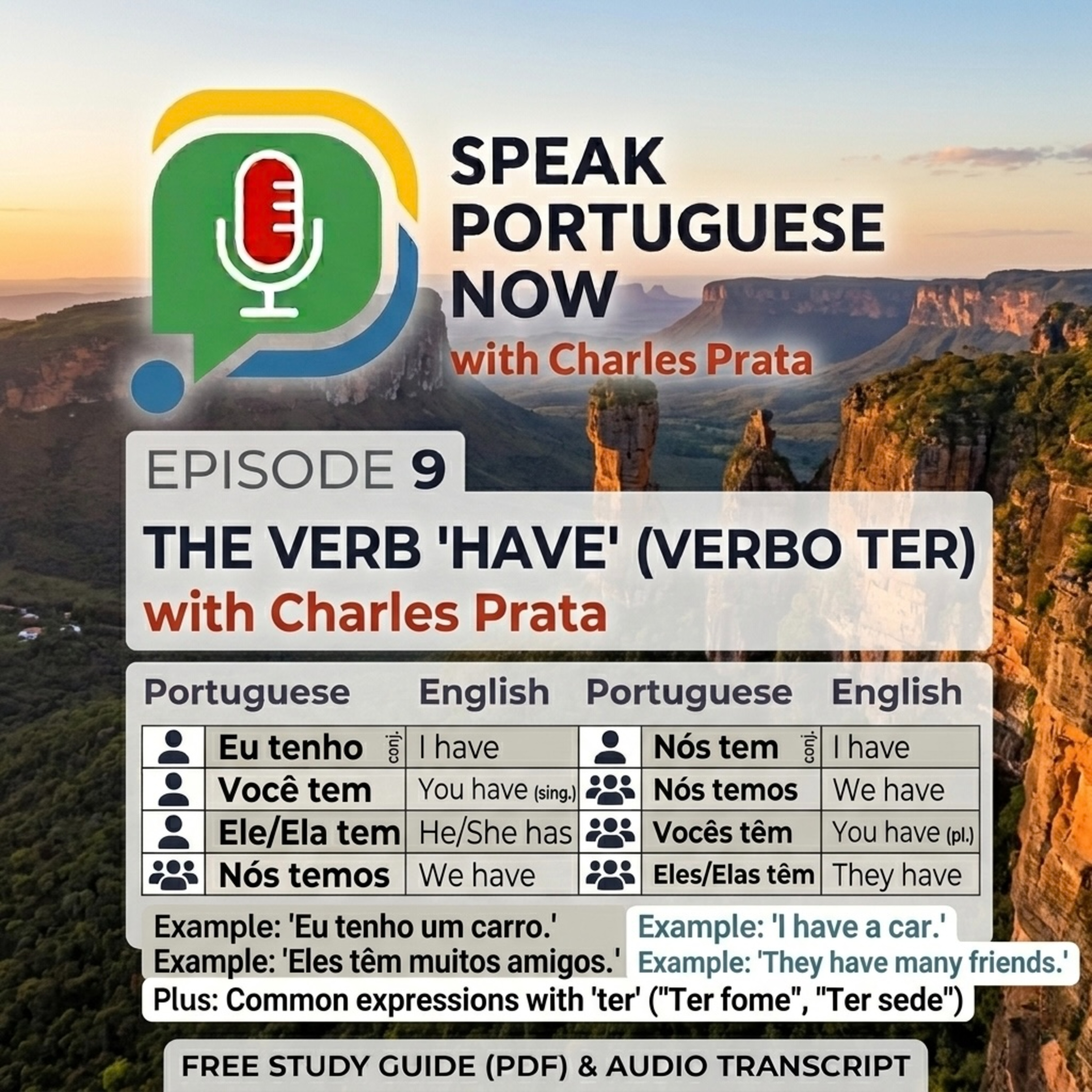 #9 Learn Brazilian Portuguese | Verb to have, Verbo Ter | Brazilian Portuguese Listening Practice