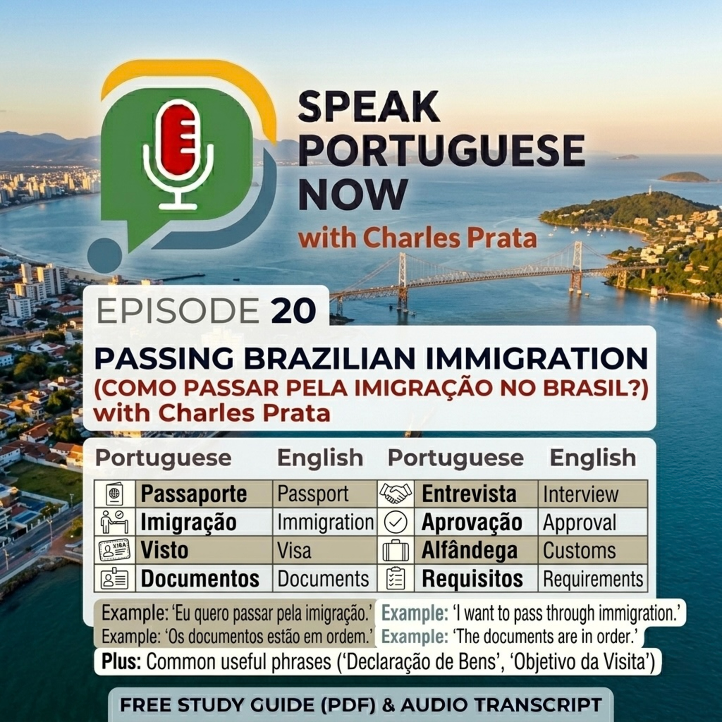 #20 Portuguese for Beginners | How to pass through Immigration in Brazil? Como passar pela Imigracao no Brasil? Learn Portuguese Fast