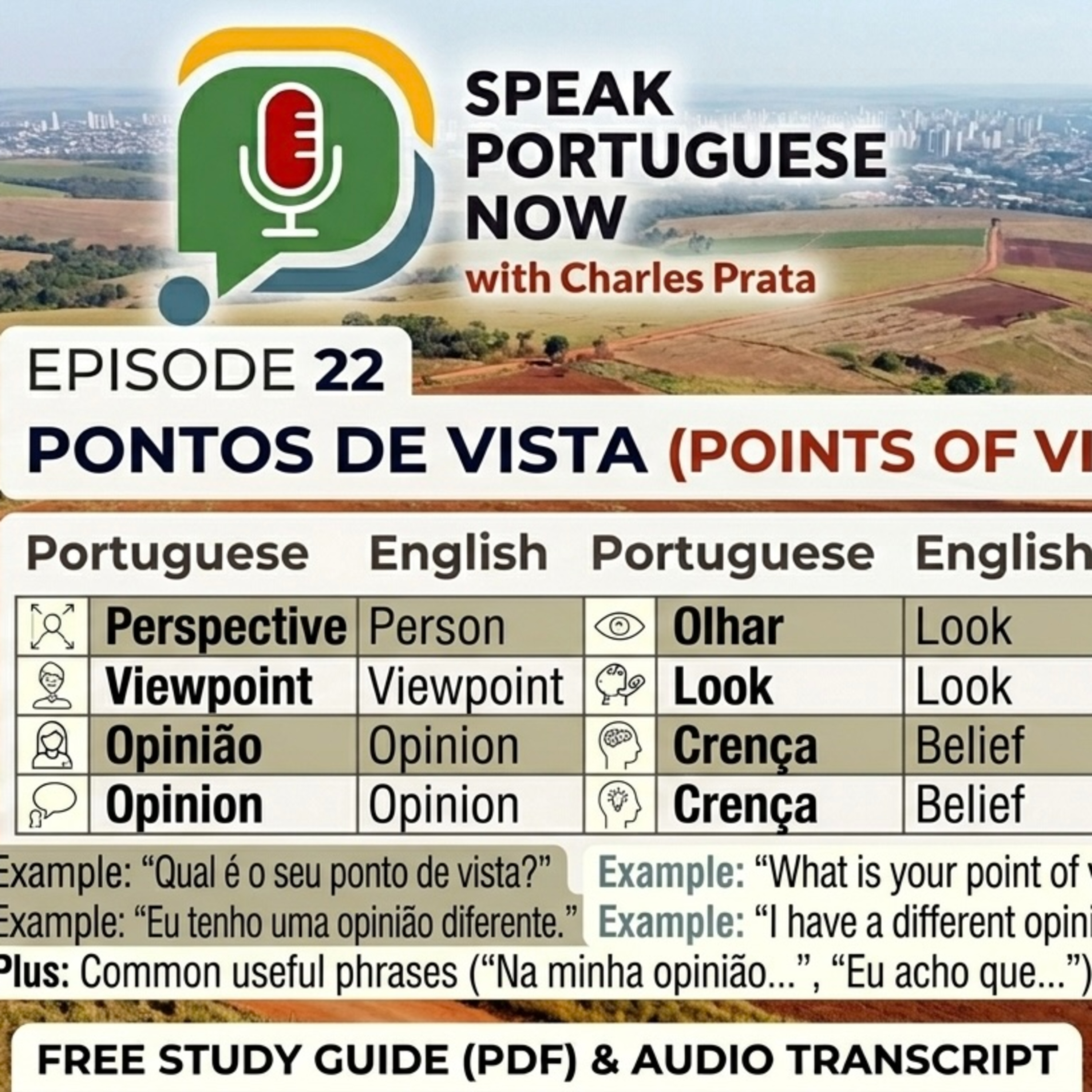 #22 Learn Brazilian Portuguese | Points of View. Pontos de Vista | Brazilian Portuguese Listening Practice