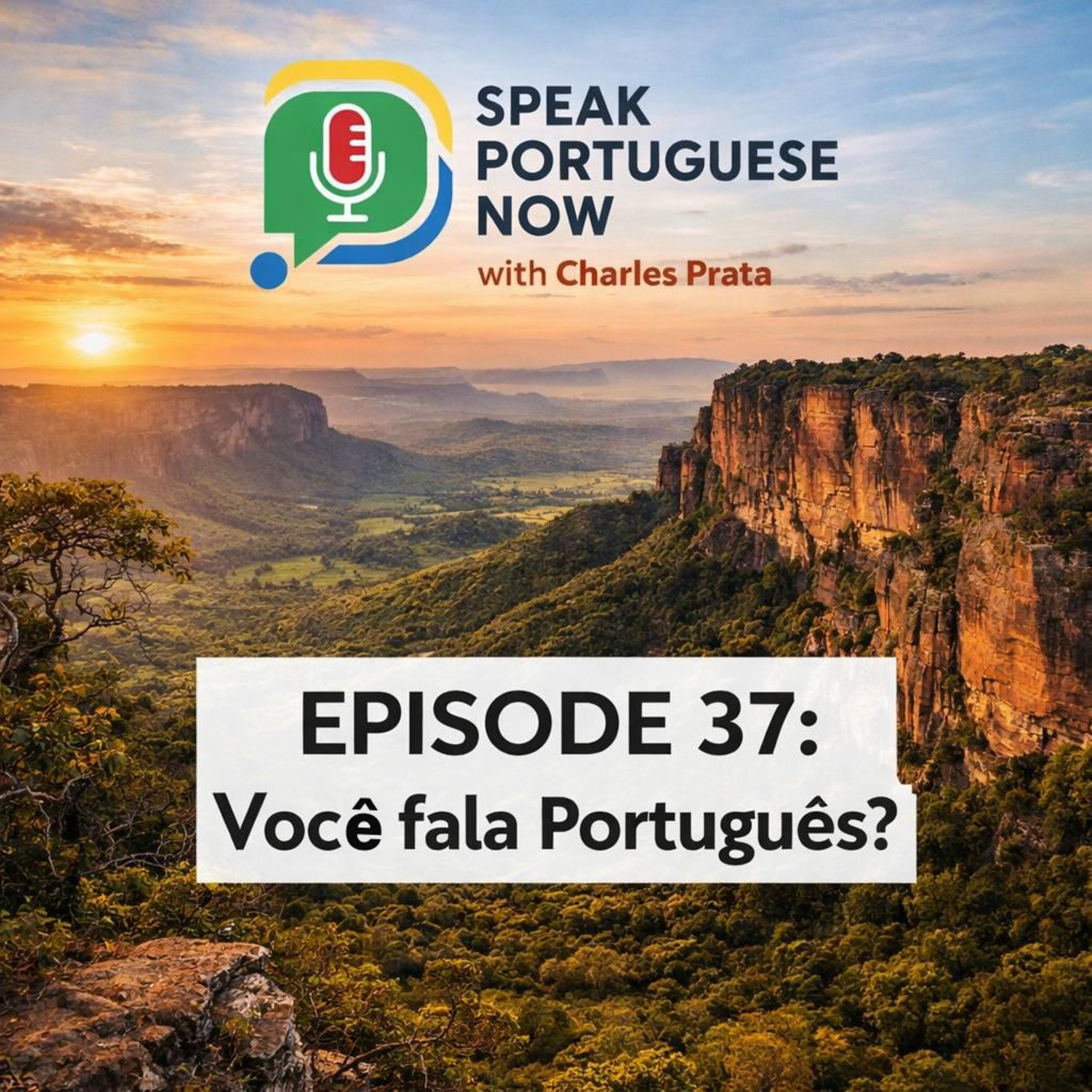 #37 Learn Brazilian Portuguese | Do you speak Portuguese? Você fala português? Practice Listening and Speaking
