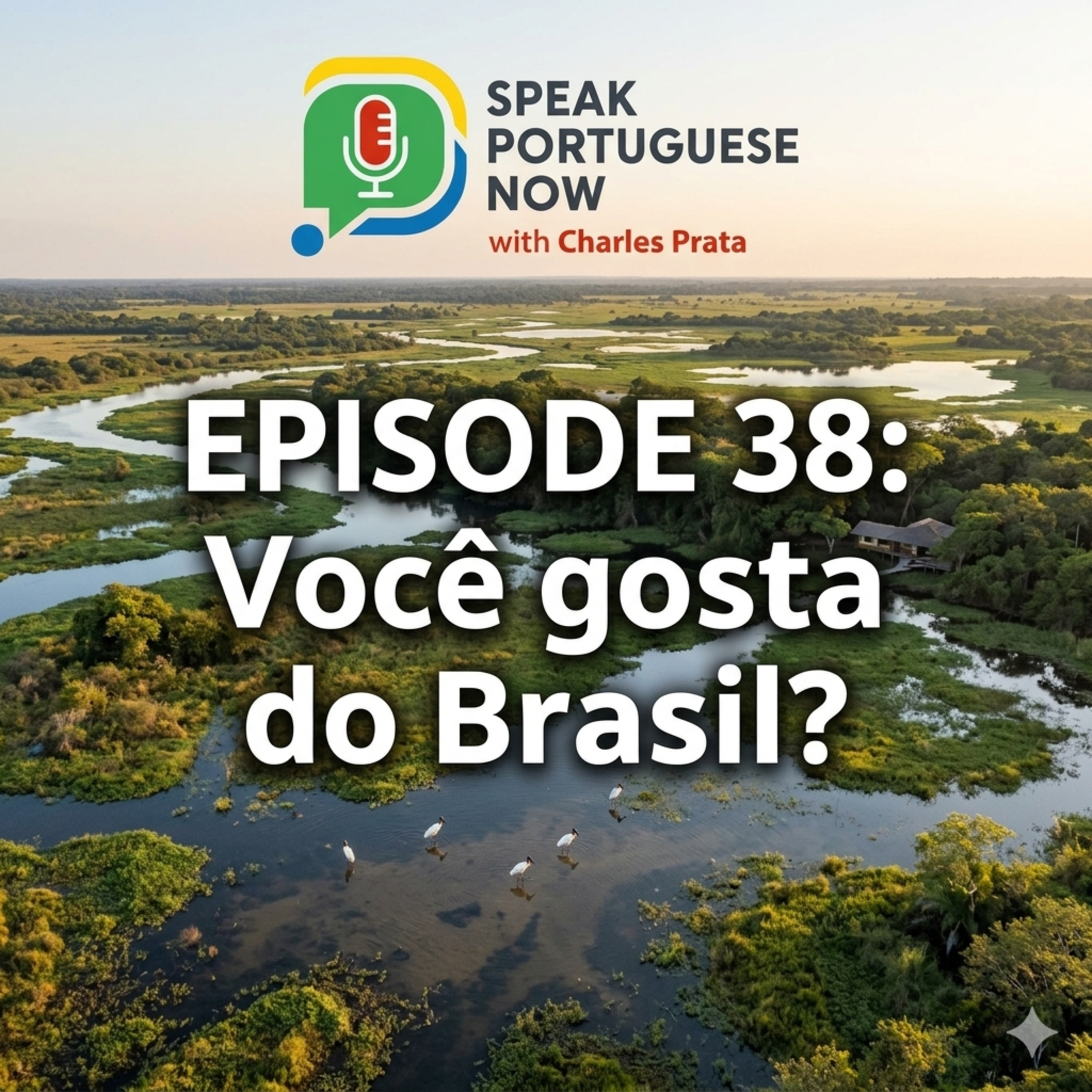 #38 Learn Brazilian Portuguese | Do you like Brazil? Você gosta do Brasil? | Portuguese for Beginners