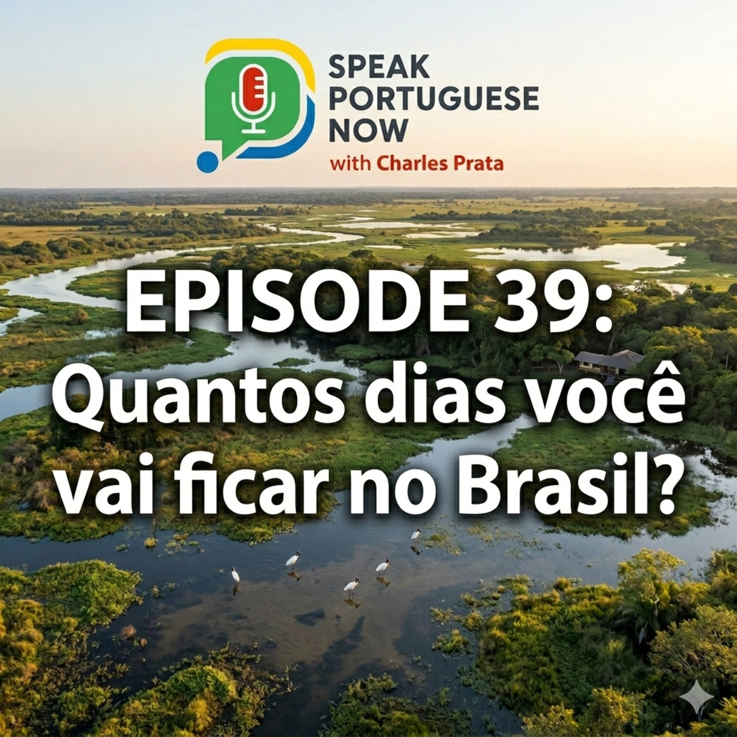 #39 Learn Brazilian Portuguese | How many days will you stay in Brazil? Quantos dias você vai ficar no Brasil? | Portuguese for Beginners