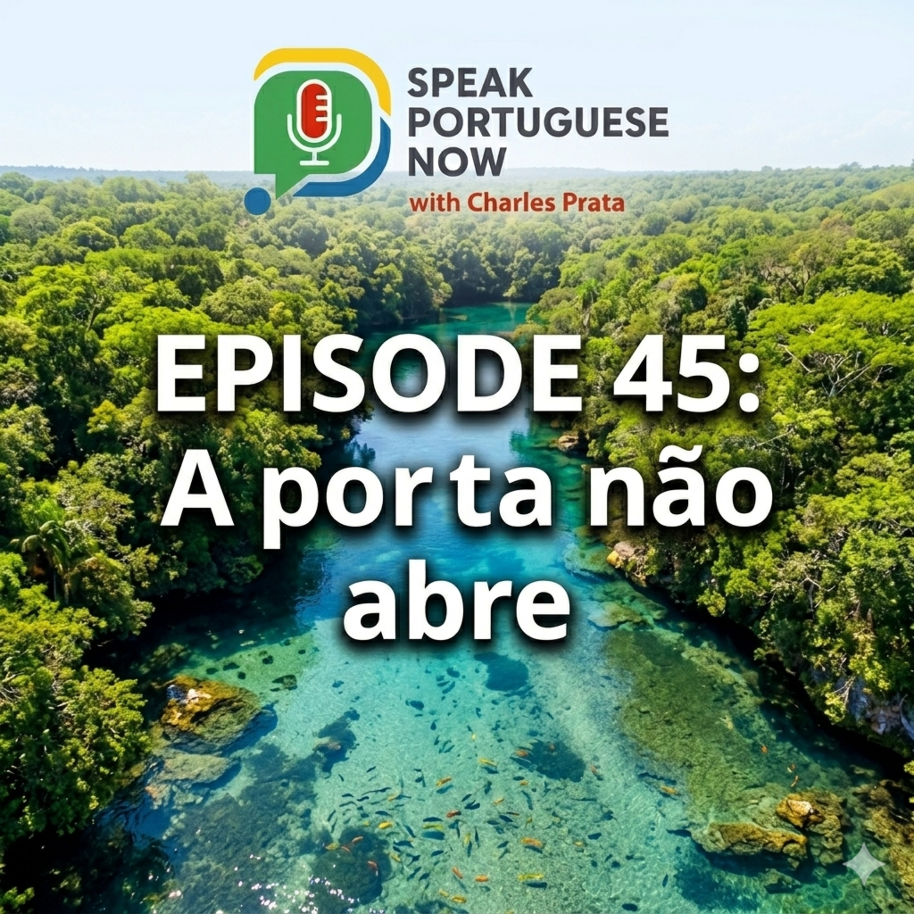 #45 Portuguese for Beginners | The door does not open. A porta não abre | Learn Brazilian Portuguese