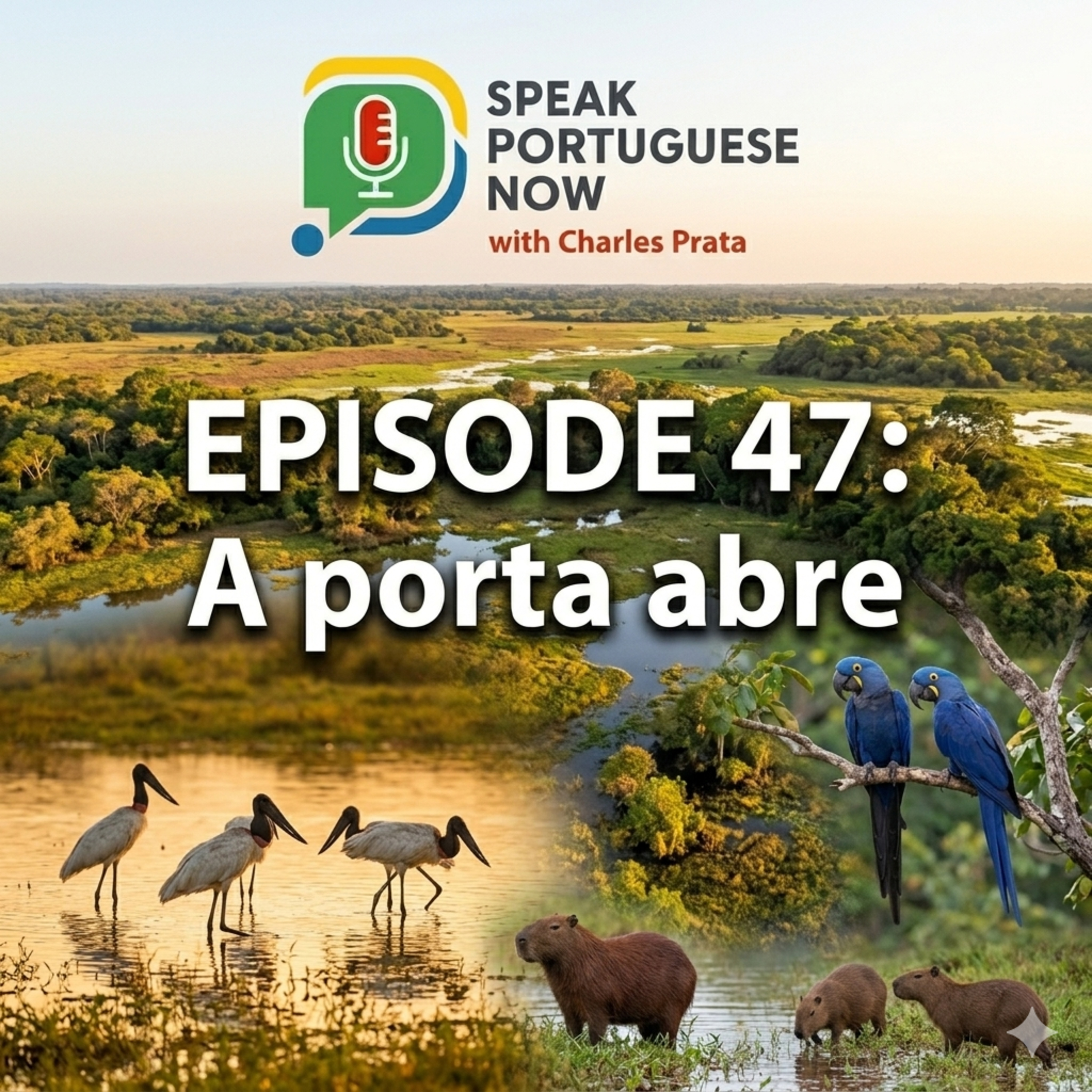 #47 Brazilian Portuguese Listening Practice | The door open! A porta abre! | Portuguese for Beginners