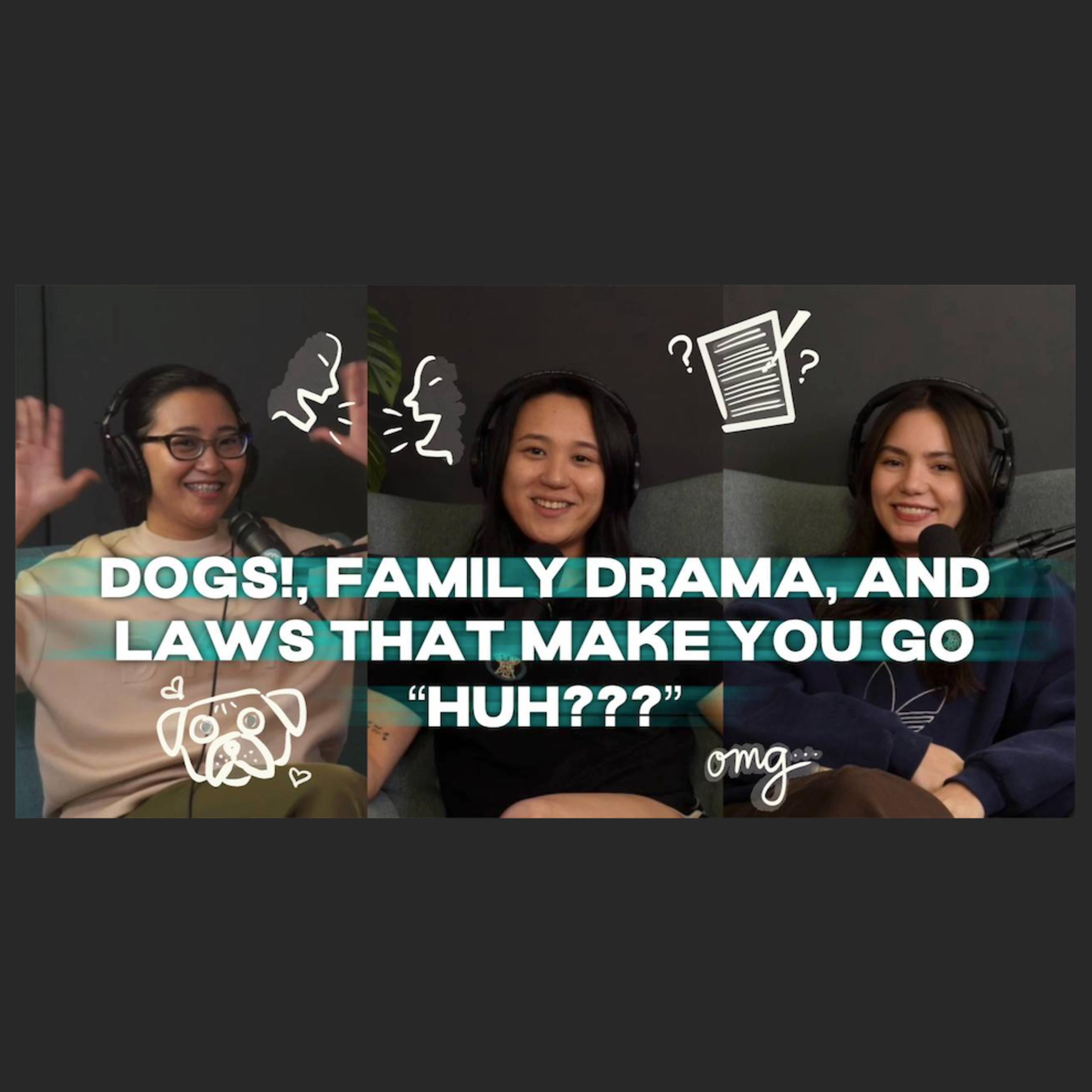 Ep 20: DOGS, Family Drama, and Laws That Make You Go "HUHH??" episode artwork