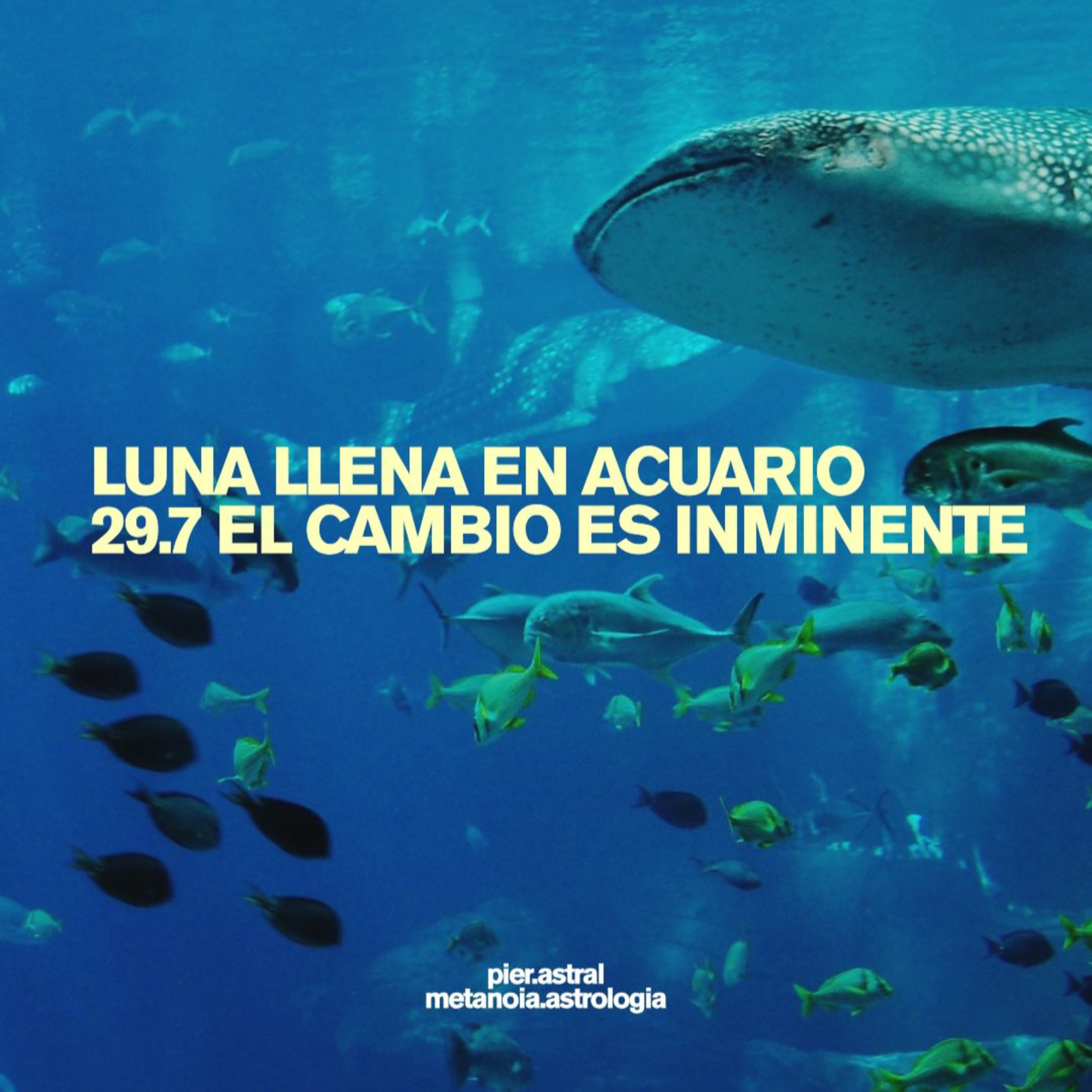 Portada de Astrología que salva