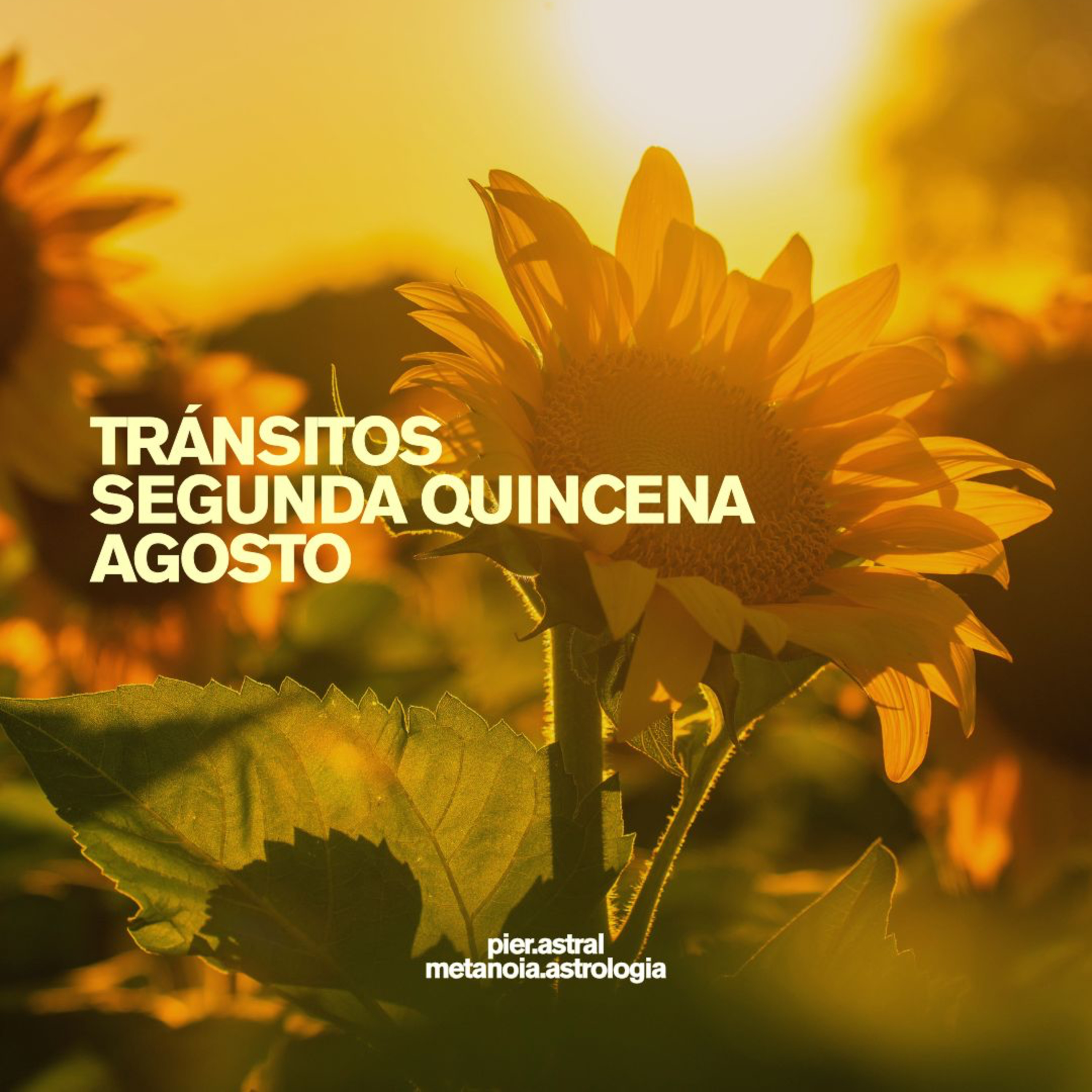 Portada de Astrología que salva