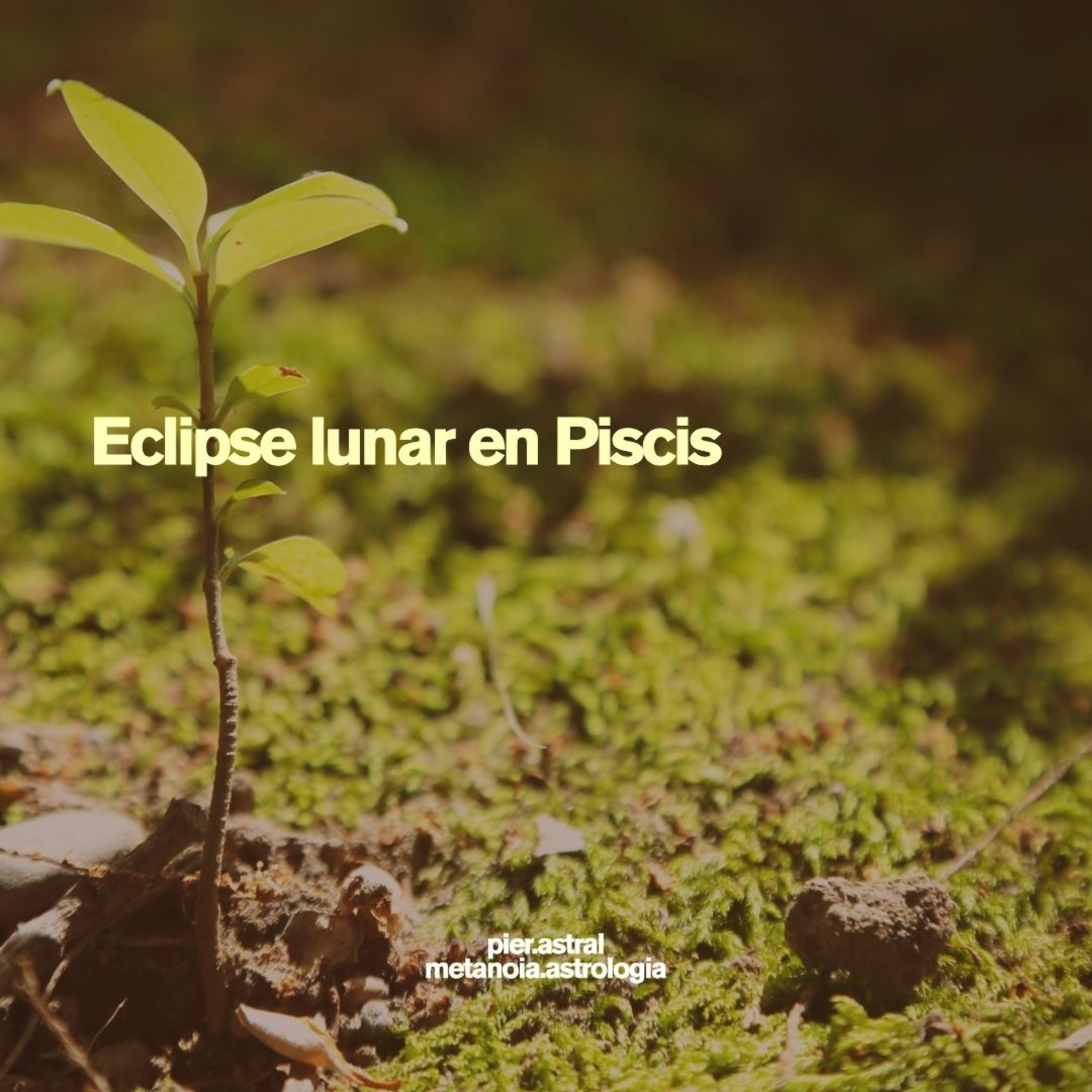 Portada de Astrología que salva