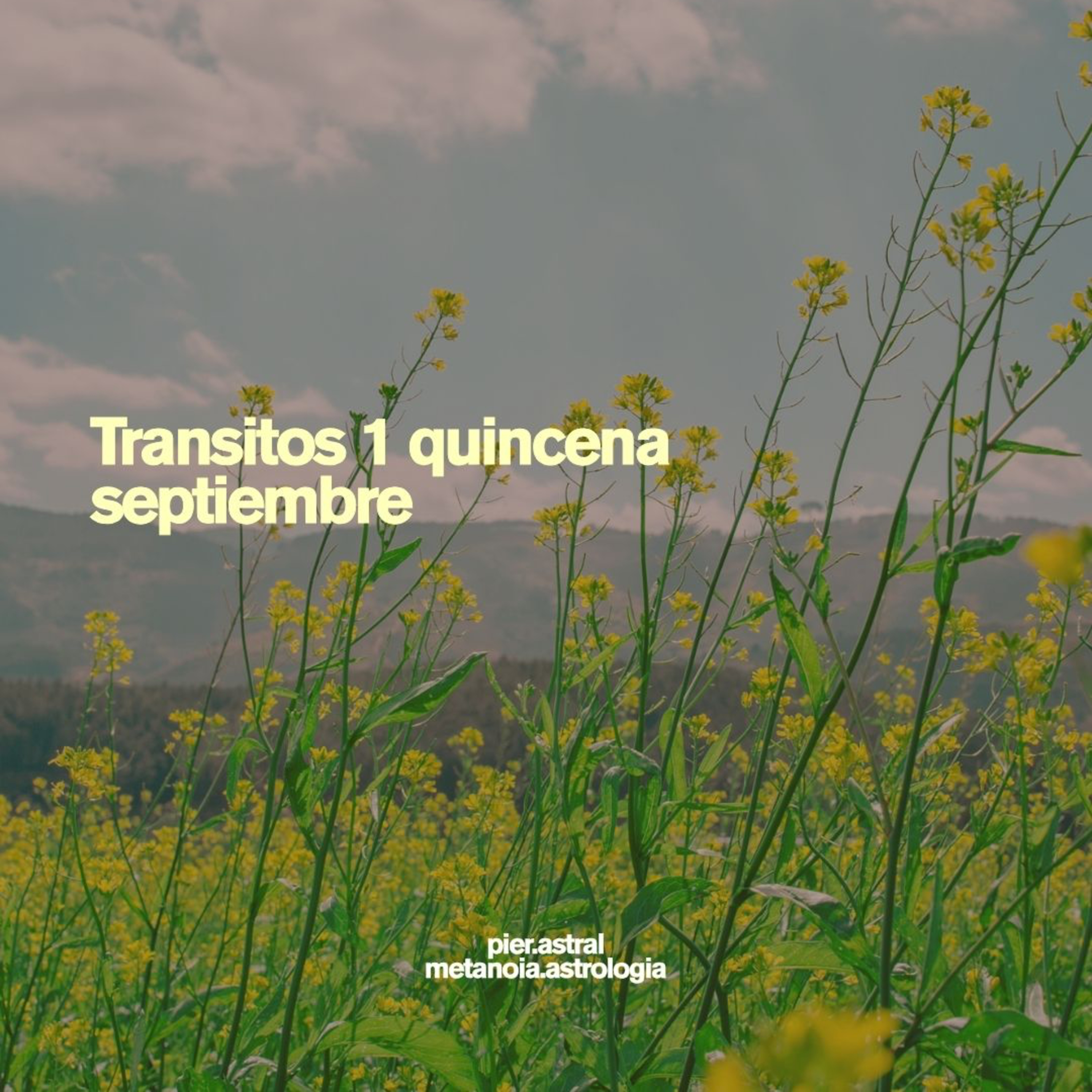 Portada de Astrología que salva