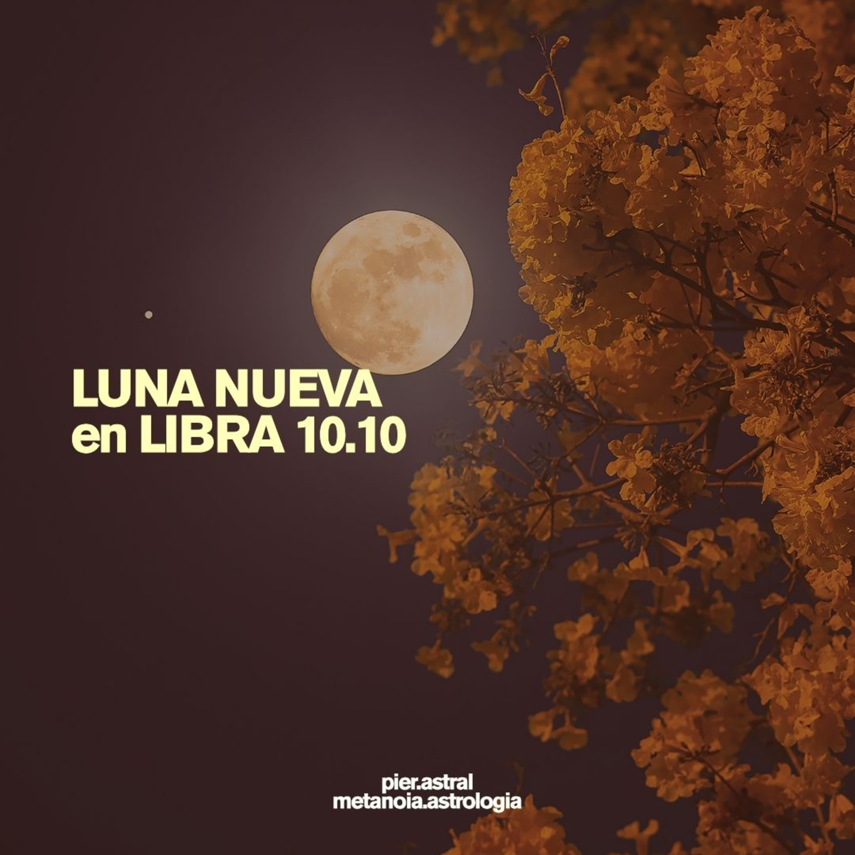 Portada de Astrología que salva