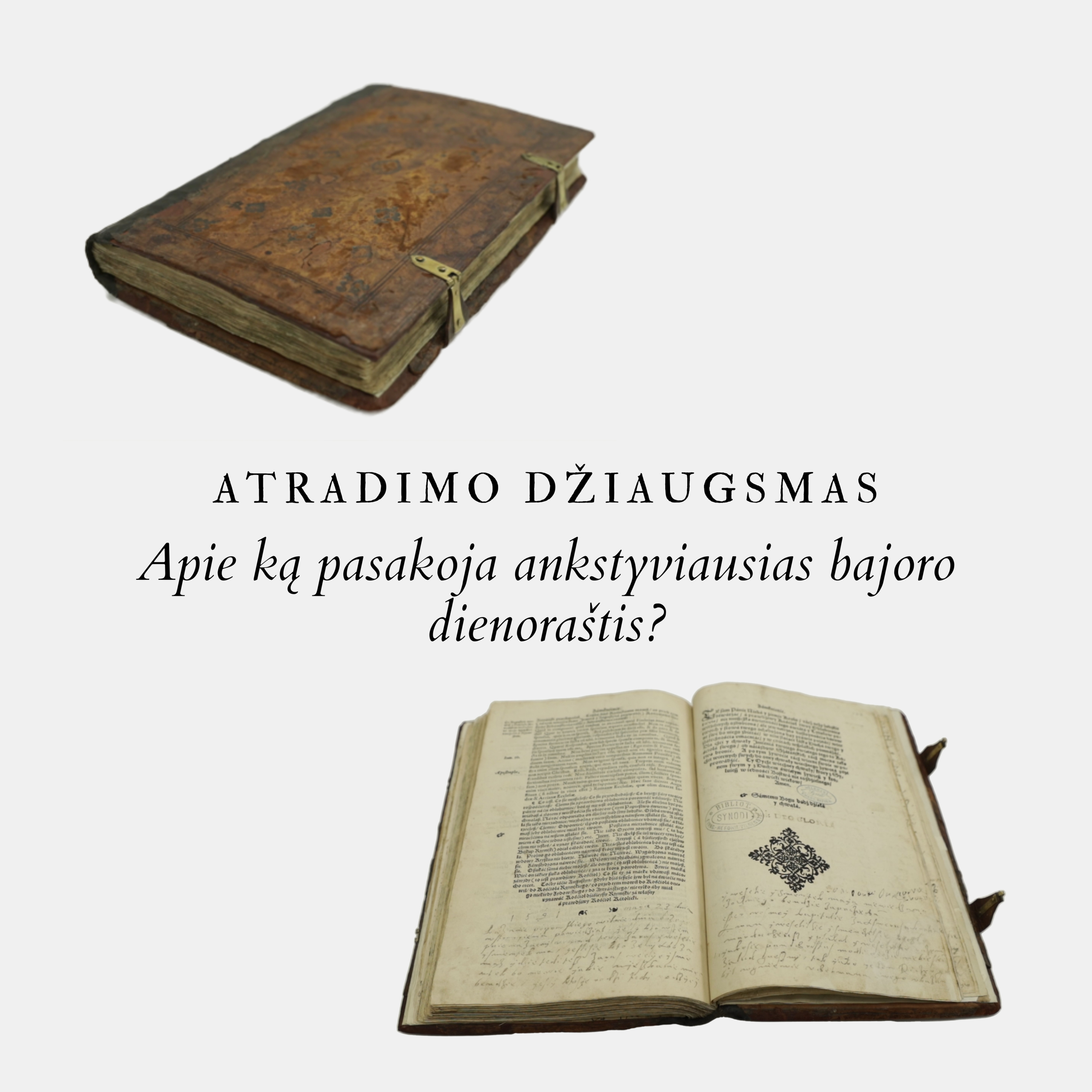 Vrublevskių biblioteka ir bičiuliai