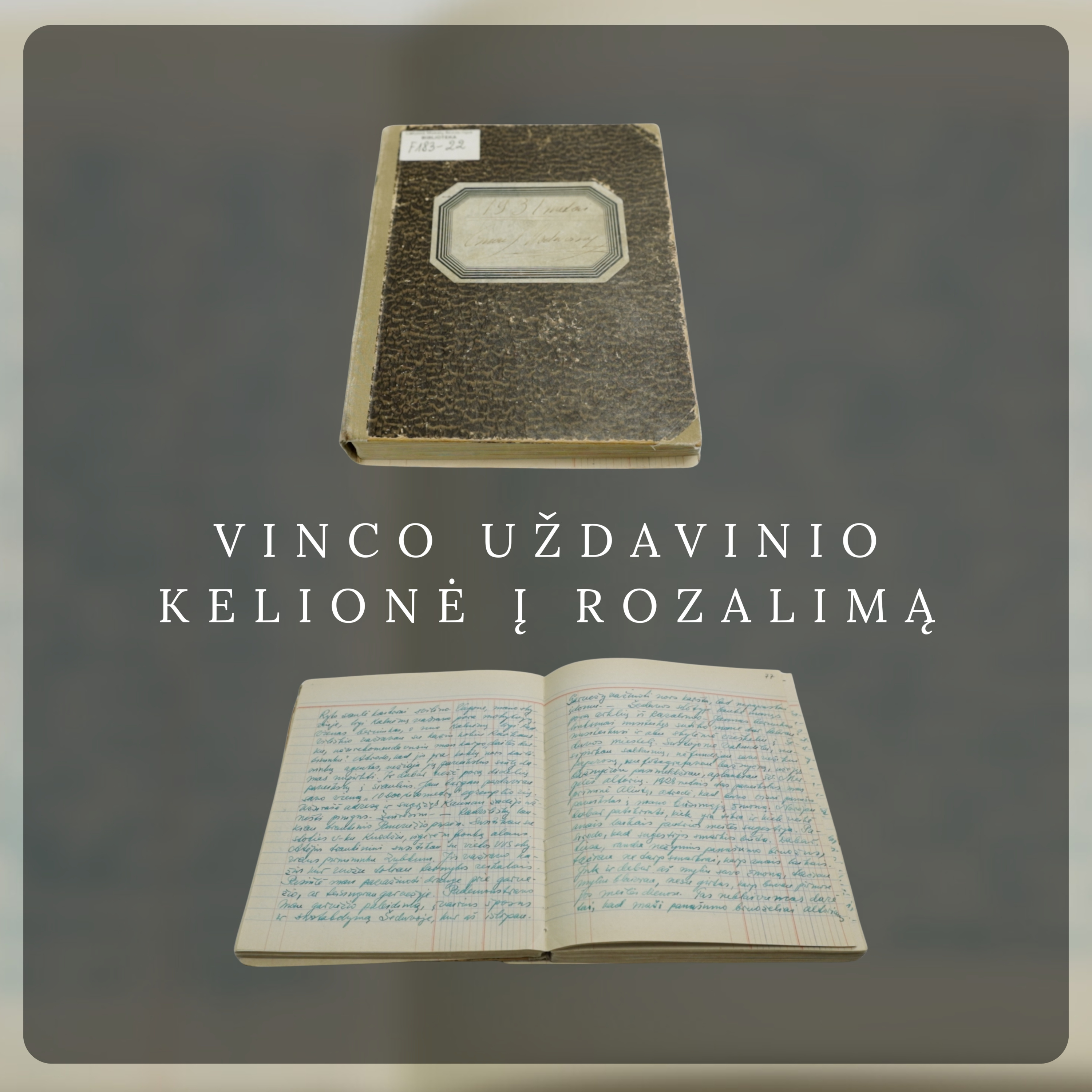 Vrublevskių biblioteka ir bičiuliai