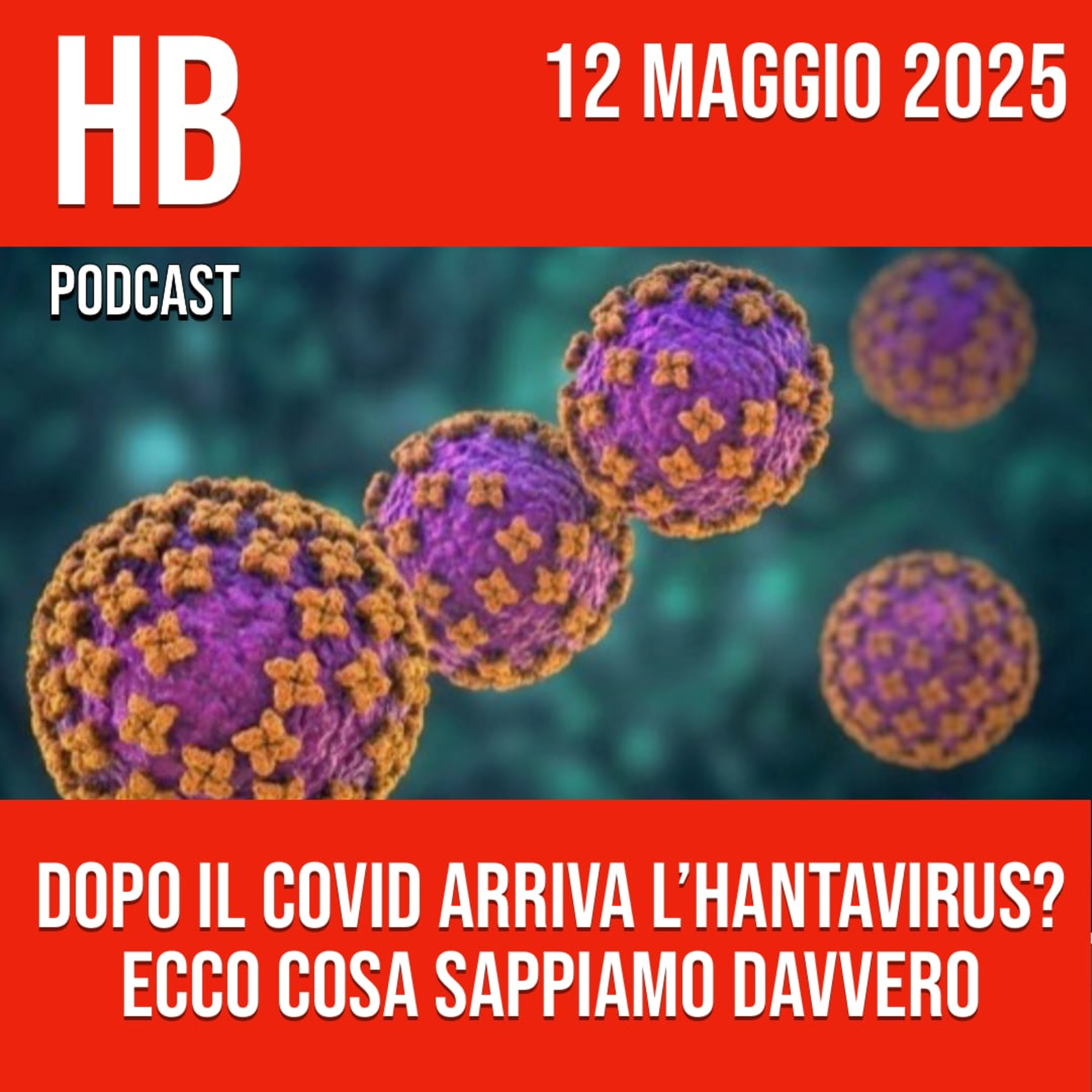 Dopo il Covid arriva l’Hantavirus? Ecco cosa sappiamo davvero