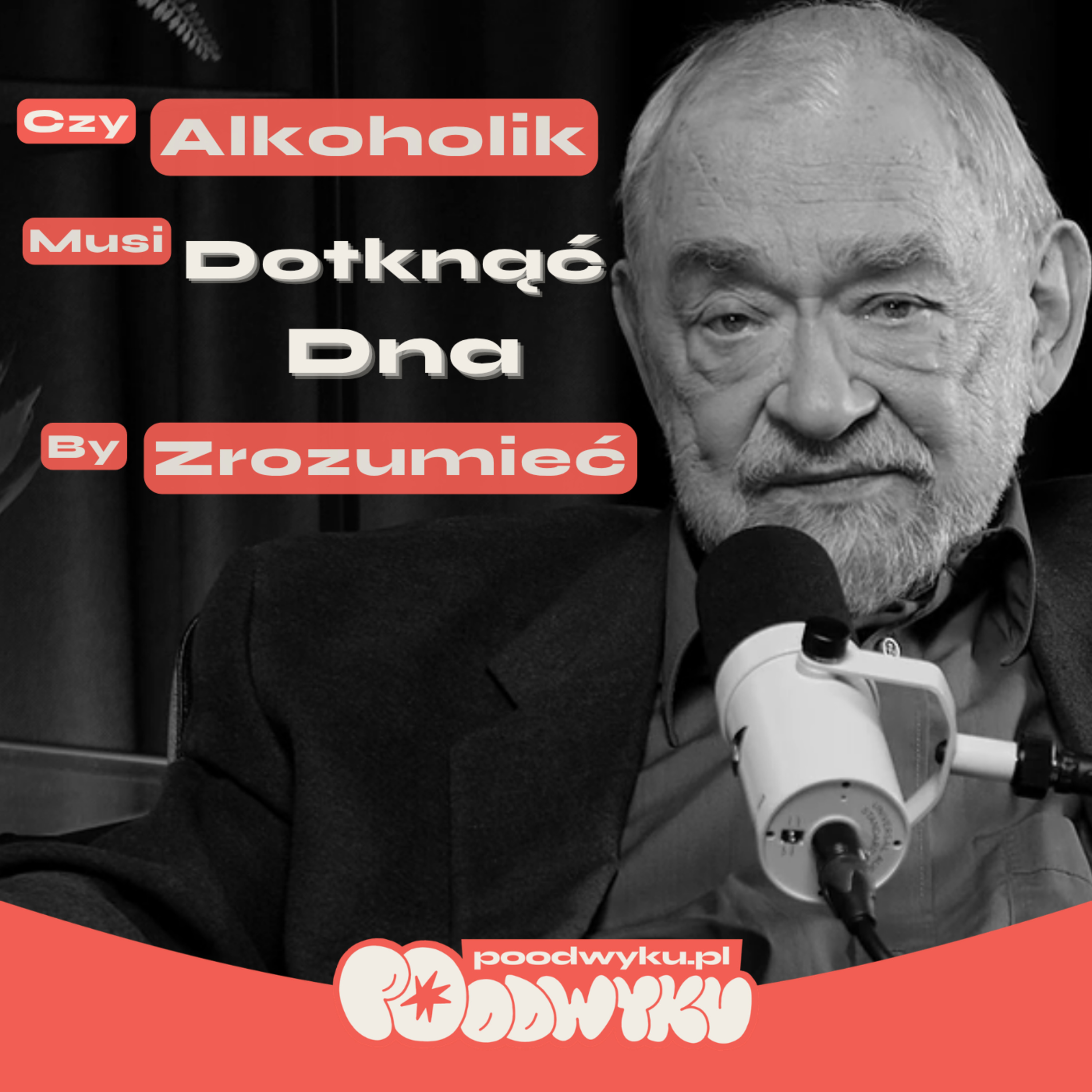 Czy DWA PIWKA dziennie to już PROBLEM? Jak zmienił się ALKOHOLIZM w POLSCE? - dr Bohdan Woronowicz episode artwork