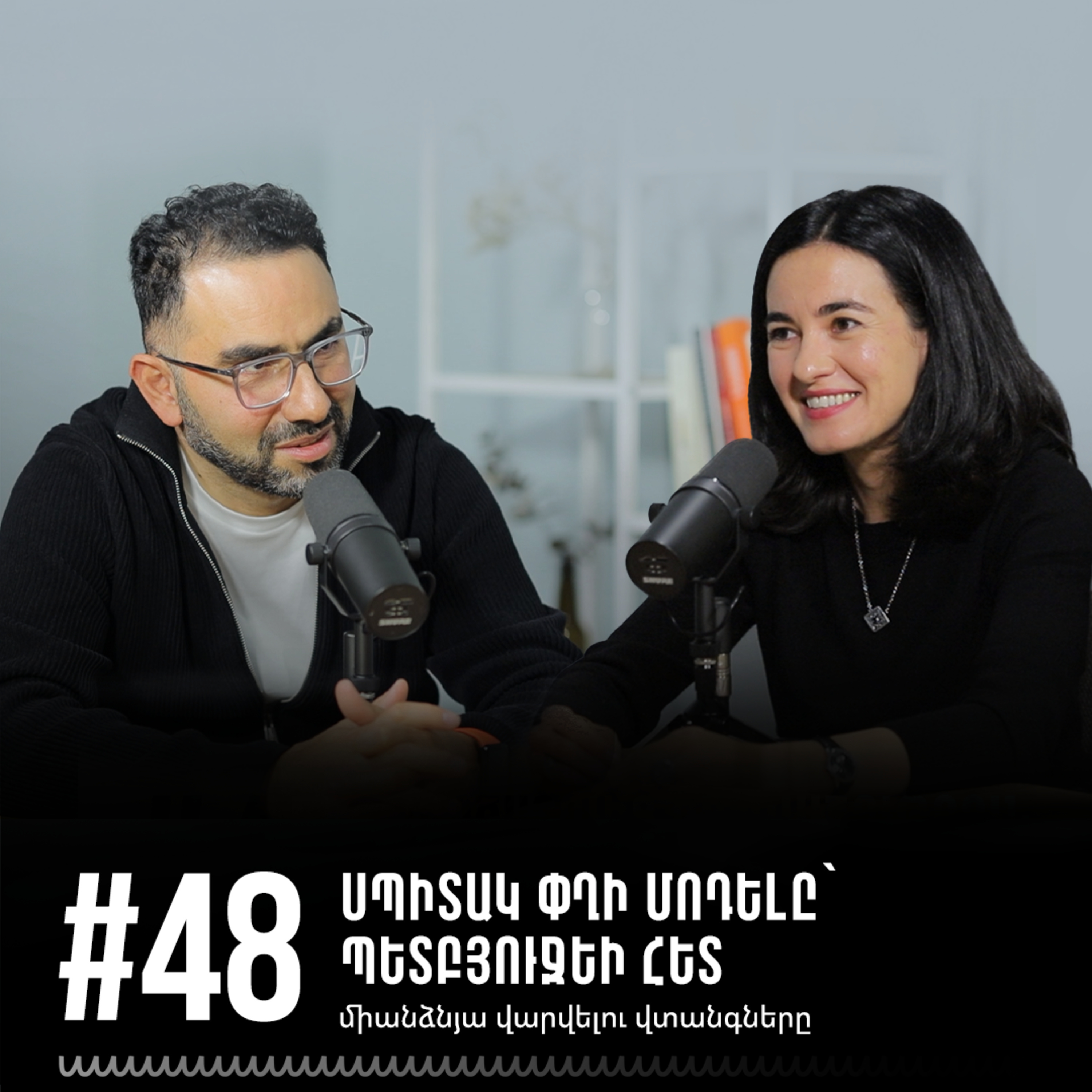 #48 Սպիտակ փղի մոդելը՝ պետբյուջեի հետ միանձնյա վարվելու վտանգները episode artwork