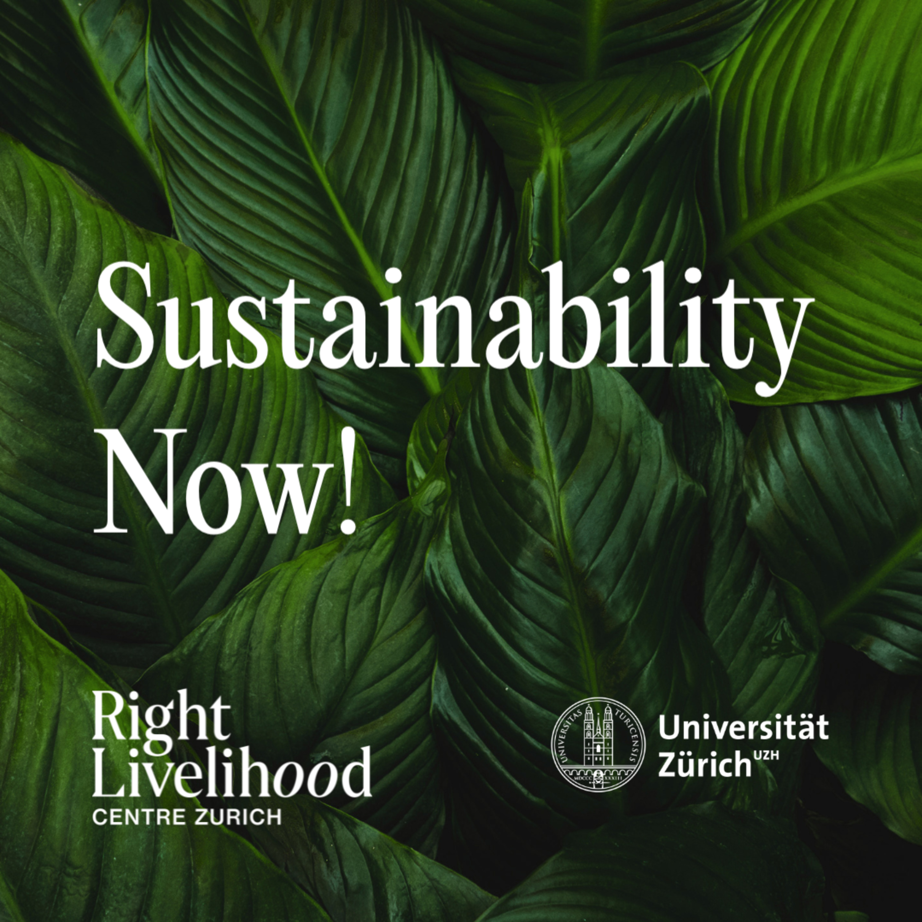 Sustainability Now!