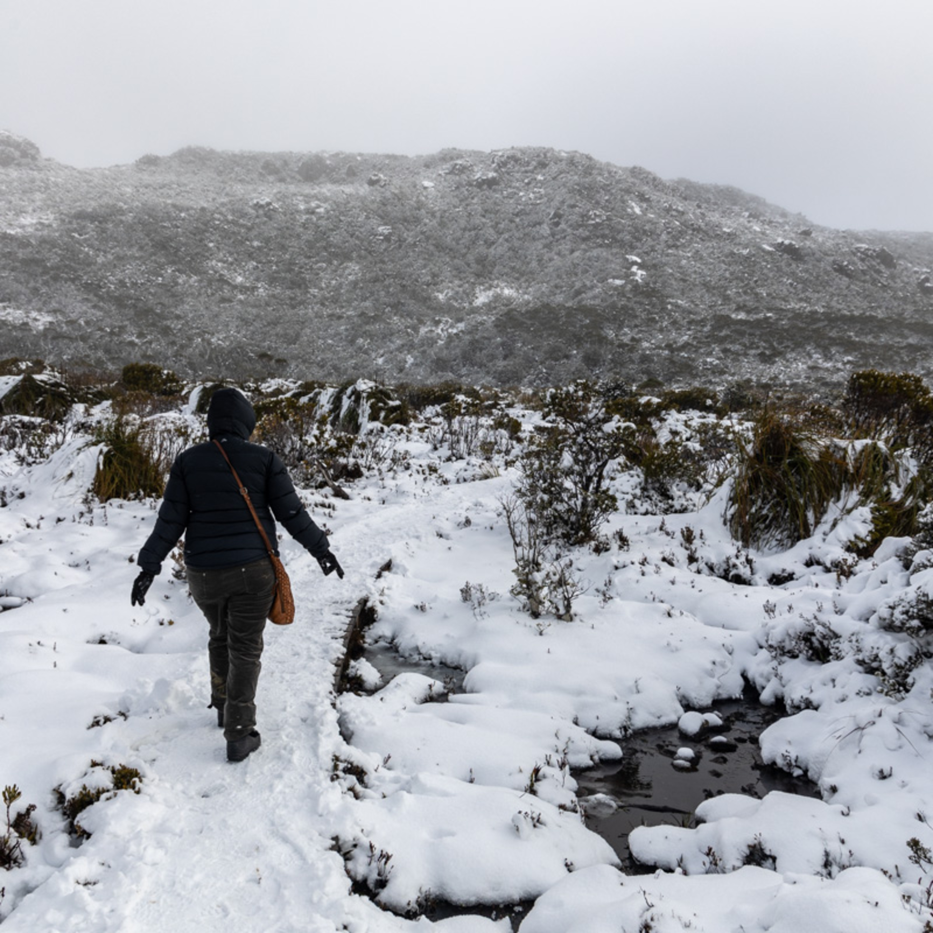 Places to Visit the Snow in Southern Tasmania episode artwork