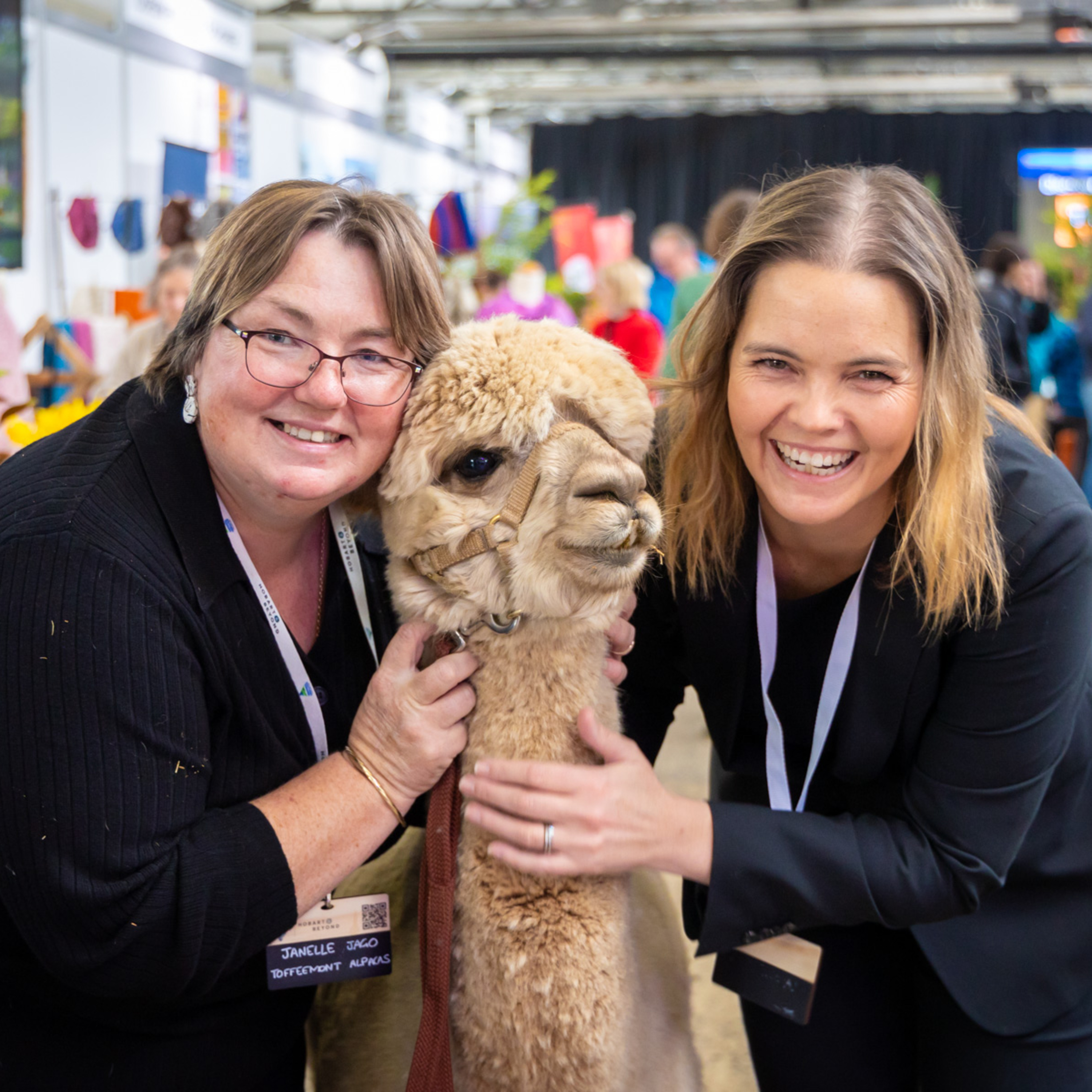 2025 Tasmanian Tourism Showcase Preview episode artwork