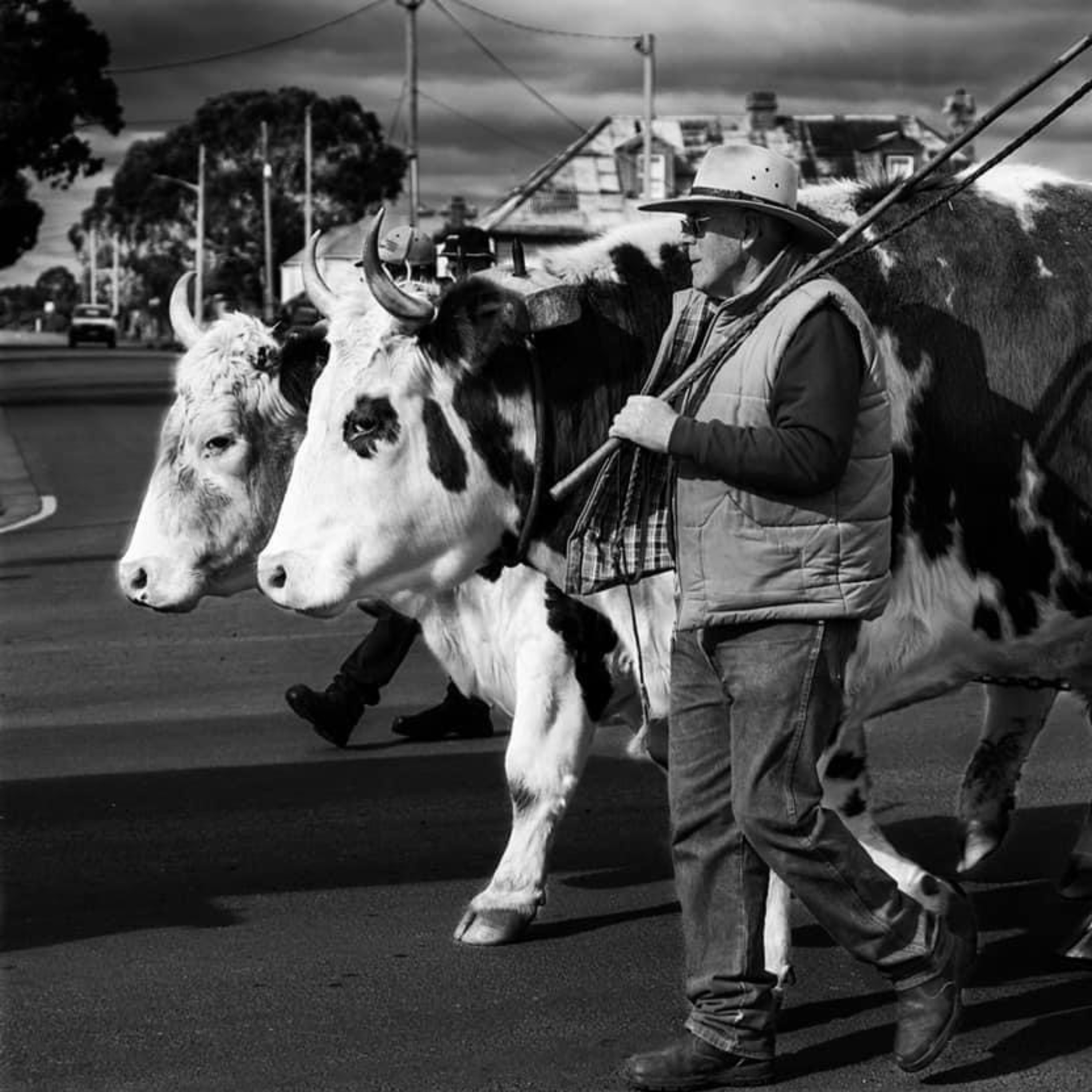 Oatlands Heritage & Bullock Festival Preview 2025 episode artwork