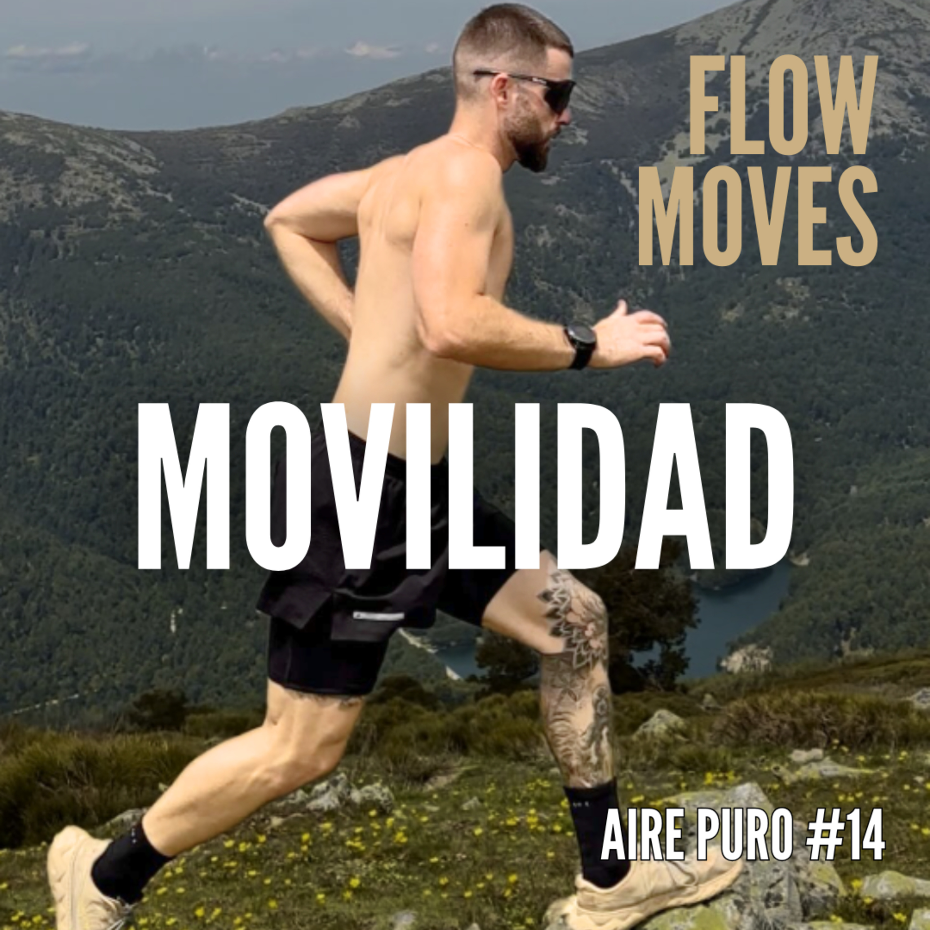 La MOVILIDAD puede ser tu mejor ALIADA || AIRE PURO Podcast #14 DANI RUIZ MOVES episode artwork