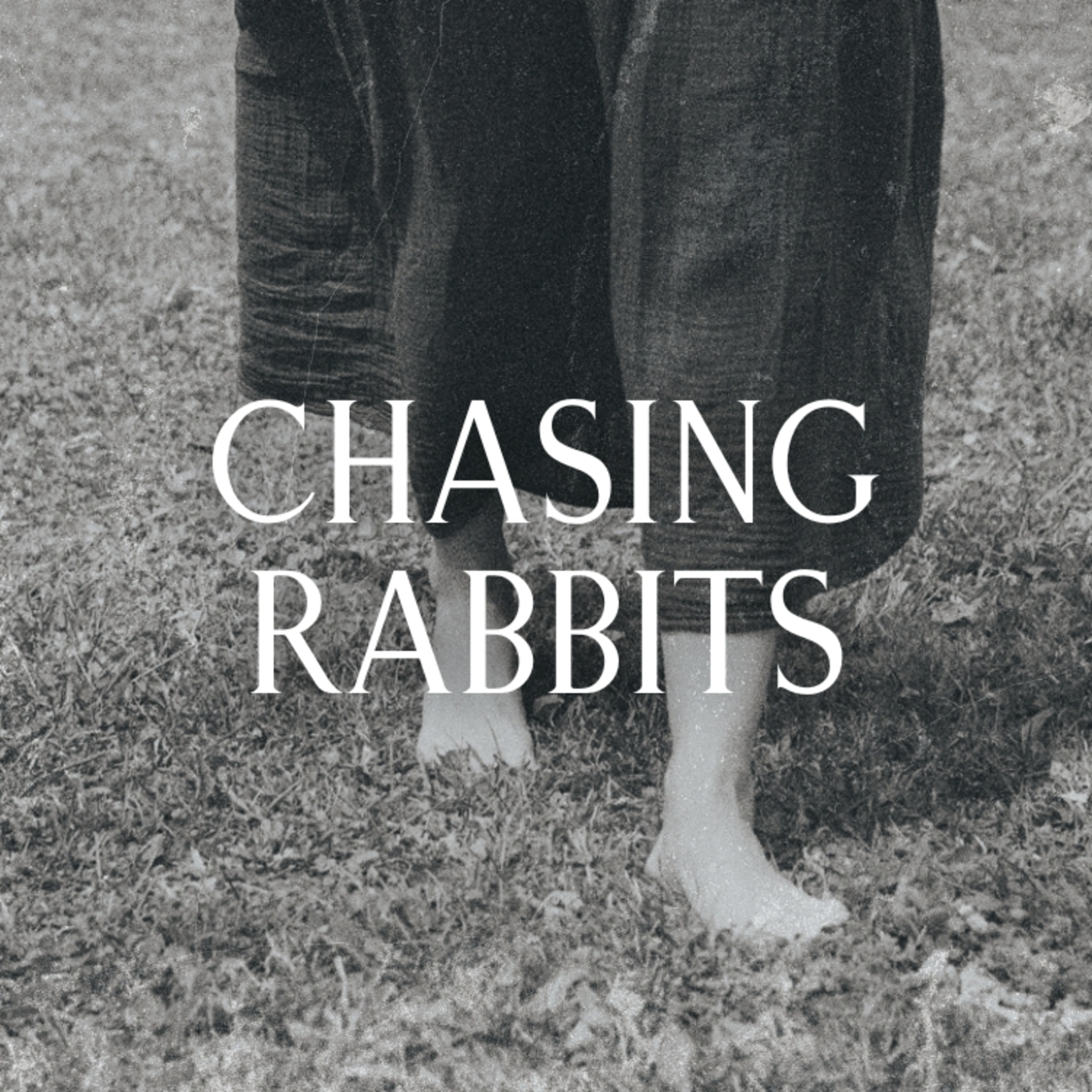 Chasing Rabbits | Following curiosity into the next page of the book episode artwork