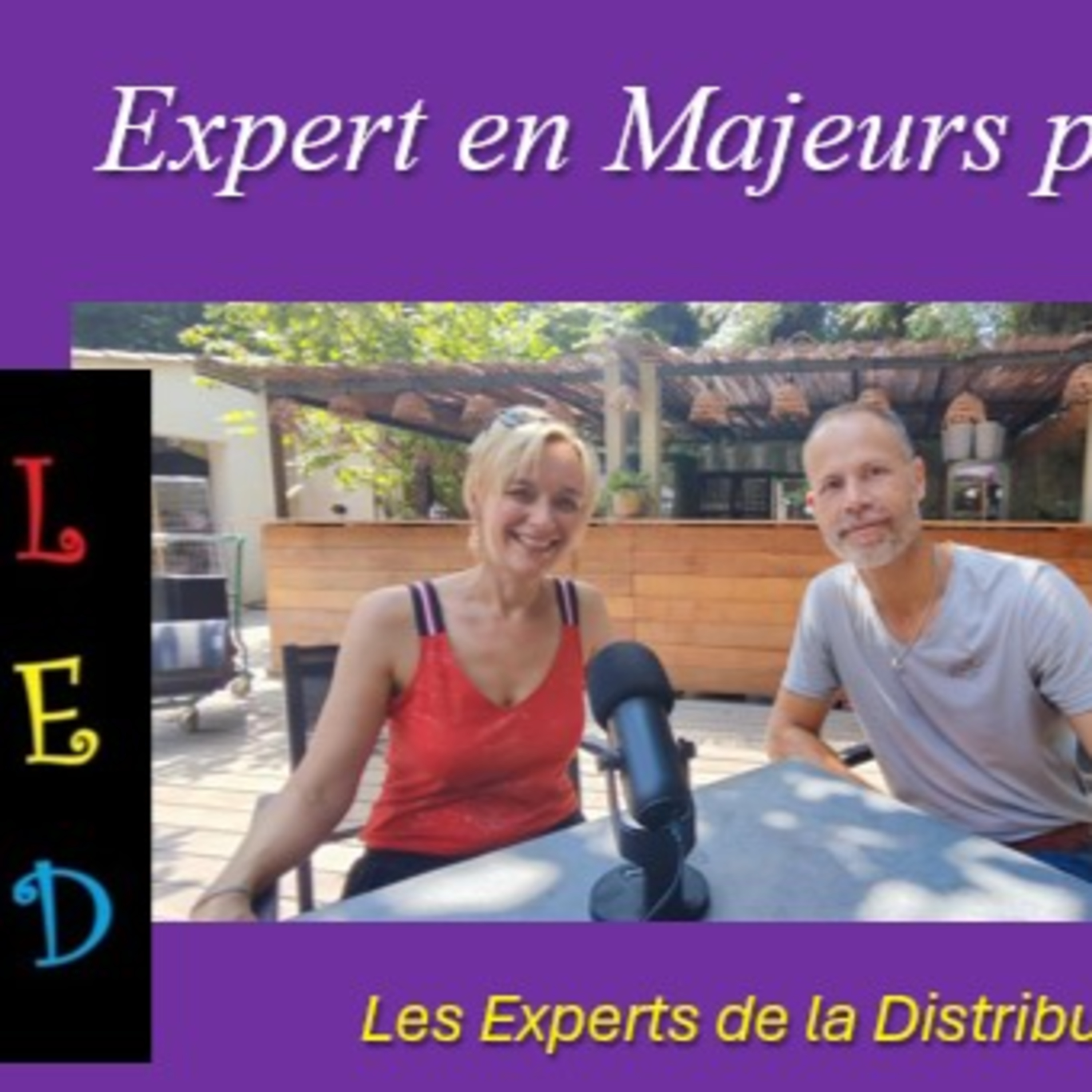 LED : Les Experts de la Distribution
