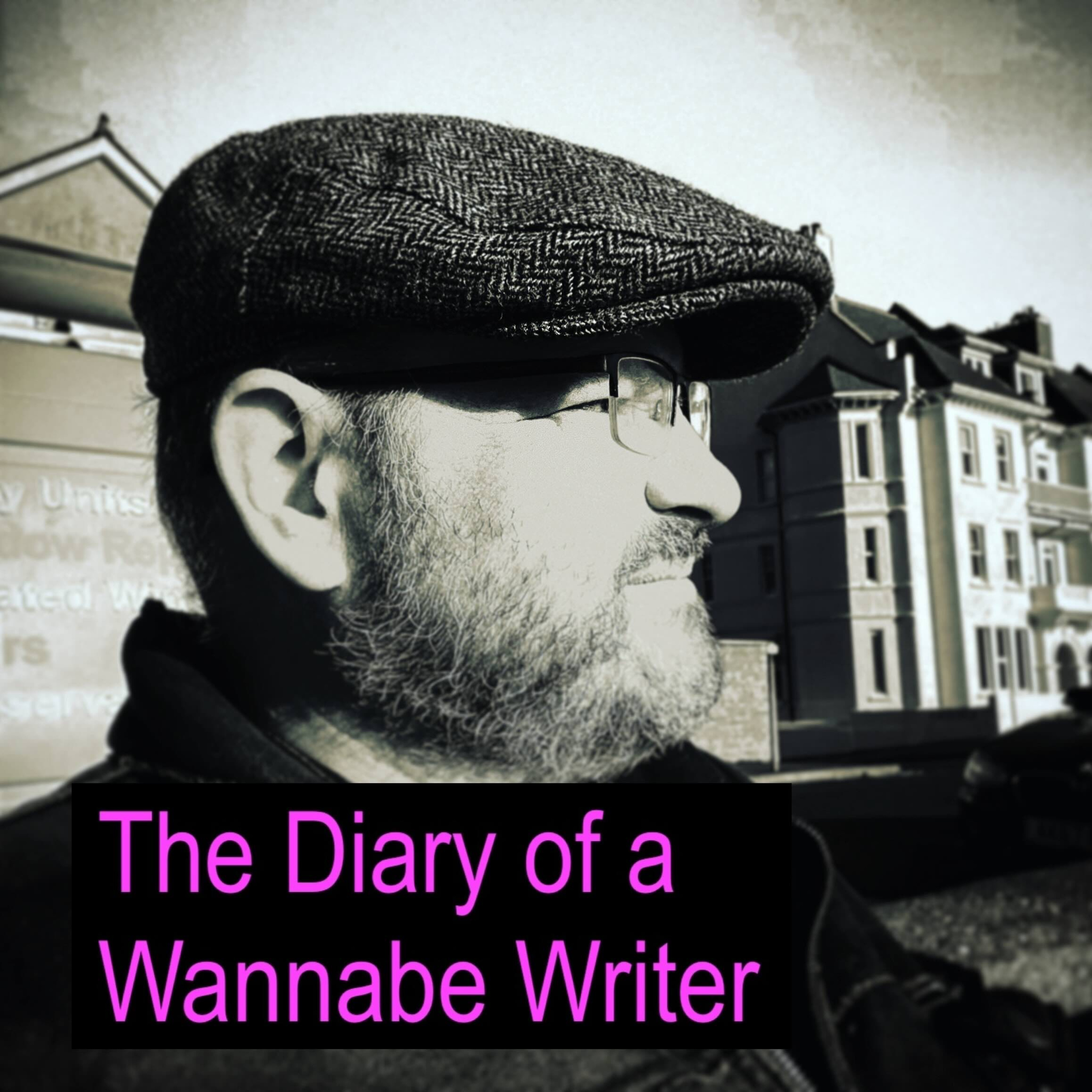 The Diary Of A Wannabe Writer