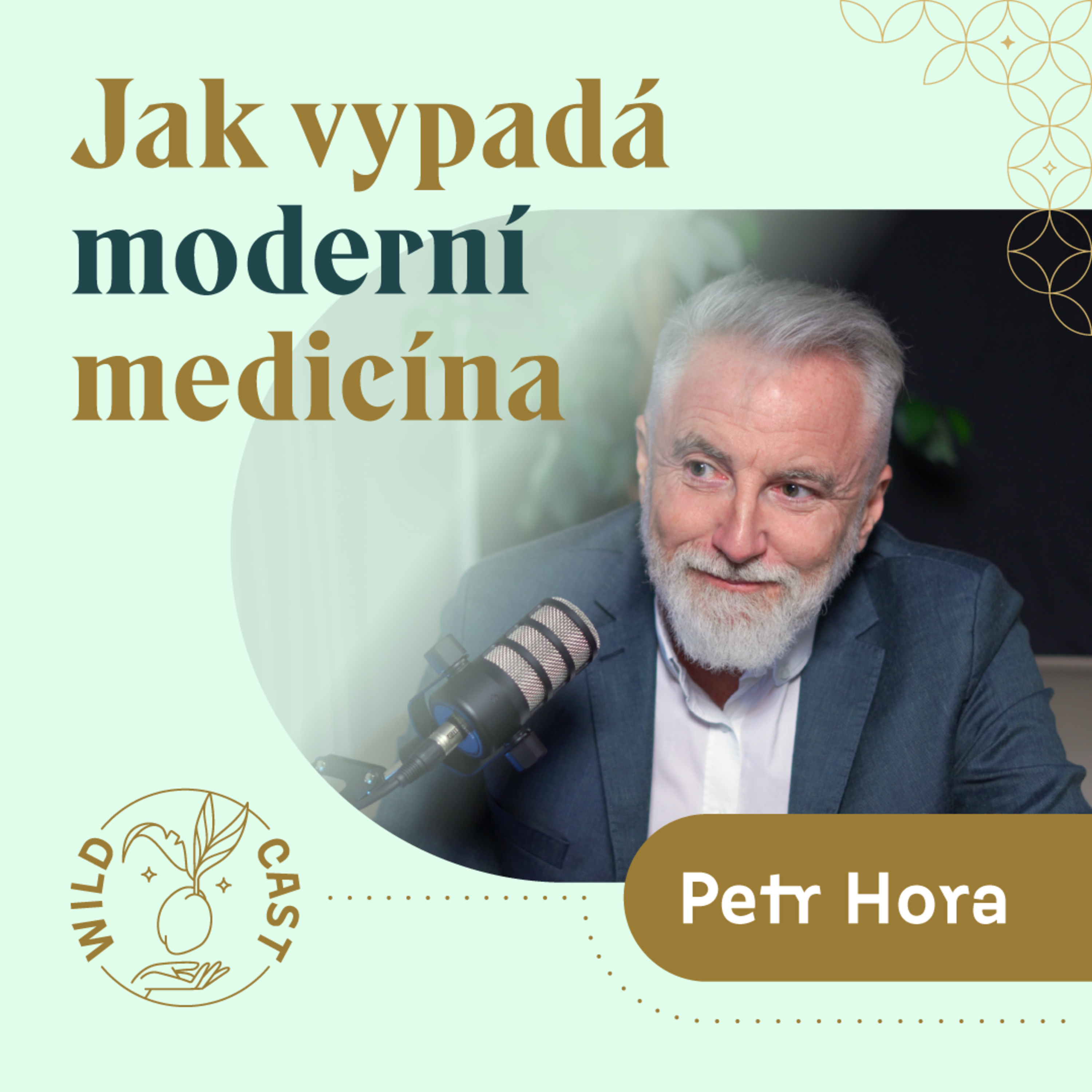 Jak vzniká nemoc? Petr Hora o dlouhověkosti a moderní medicíně episode artwork