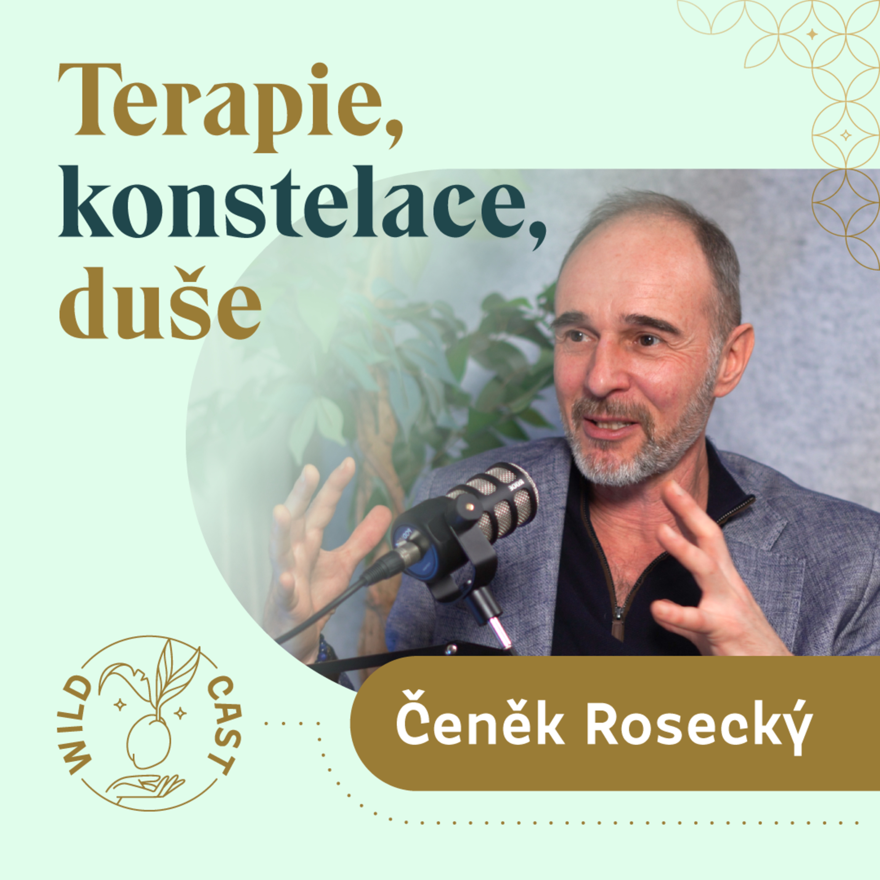 Jak zvládnout partnerské výzvy a růst - Čeněk Rosecký episode artwork