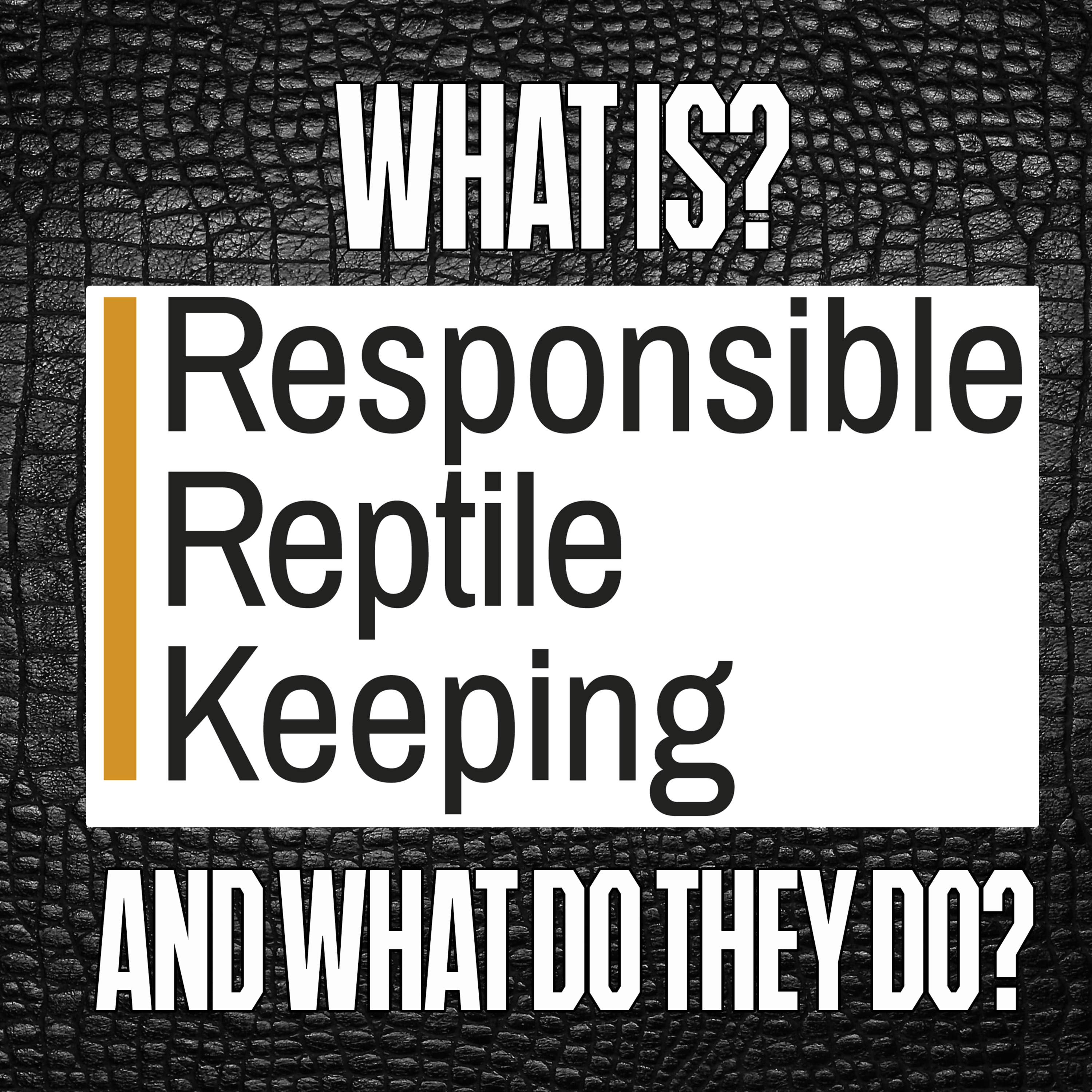 ReptiChat - UK Reptile Podcast