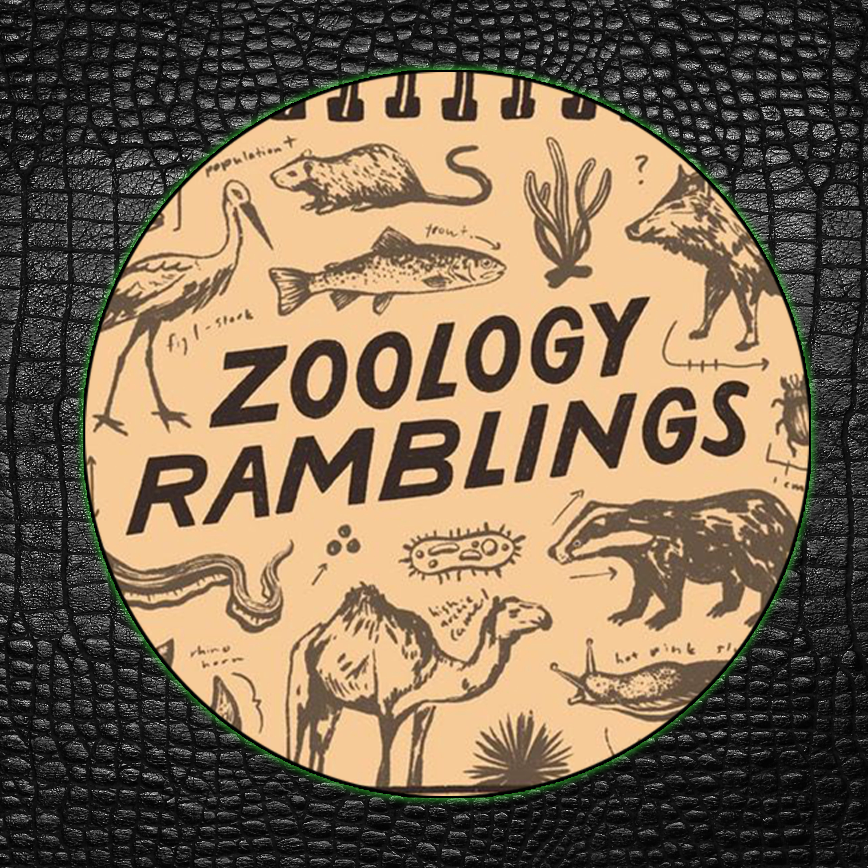 ReptiChat - UK Reptile Podcast