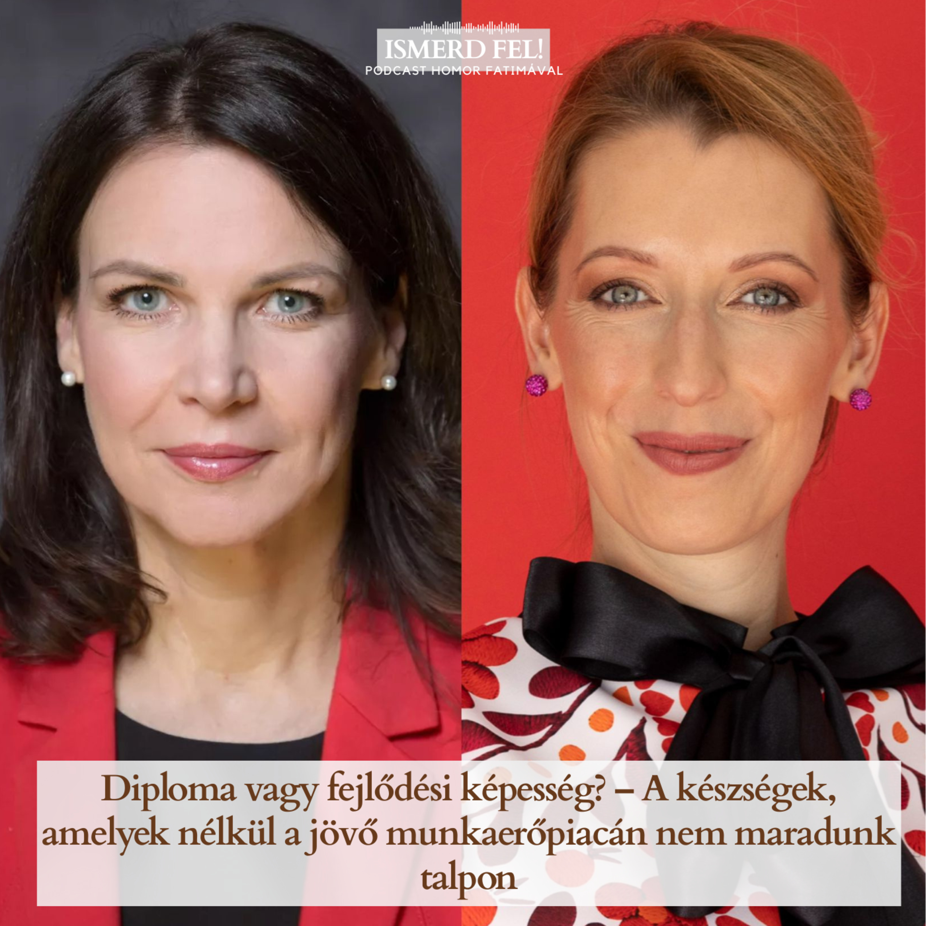 Diploma vagy fejlődési képesség? – A készségek, amelyek nélkül a jövő munkaerőpiacán nem maradunk talpon episode artwork