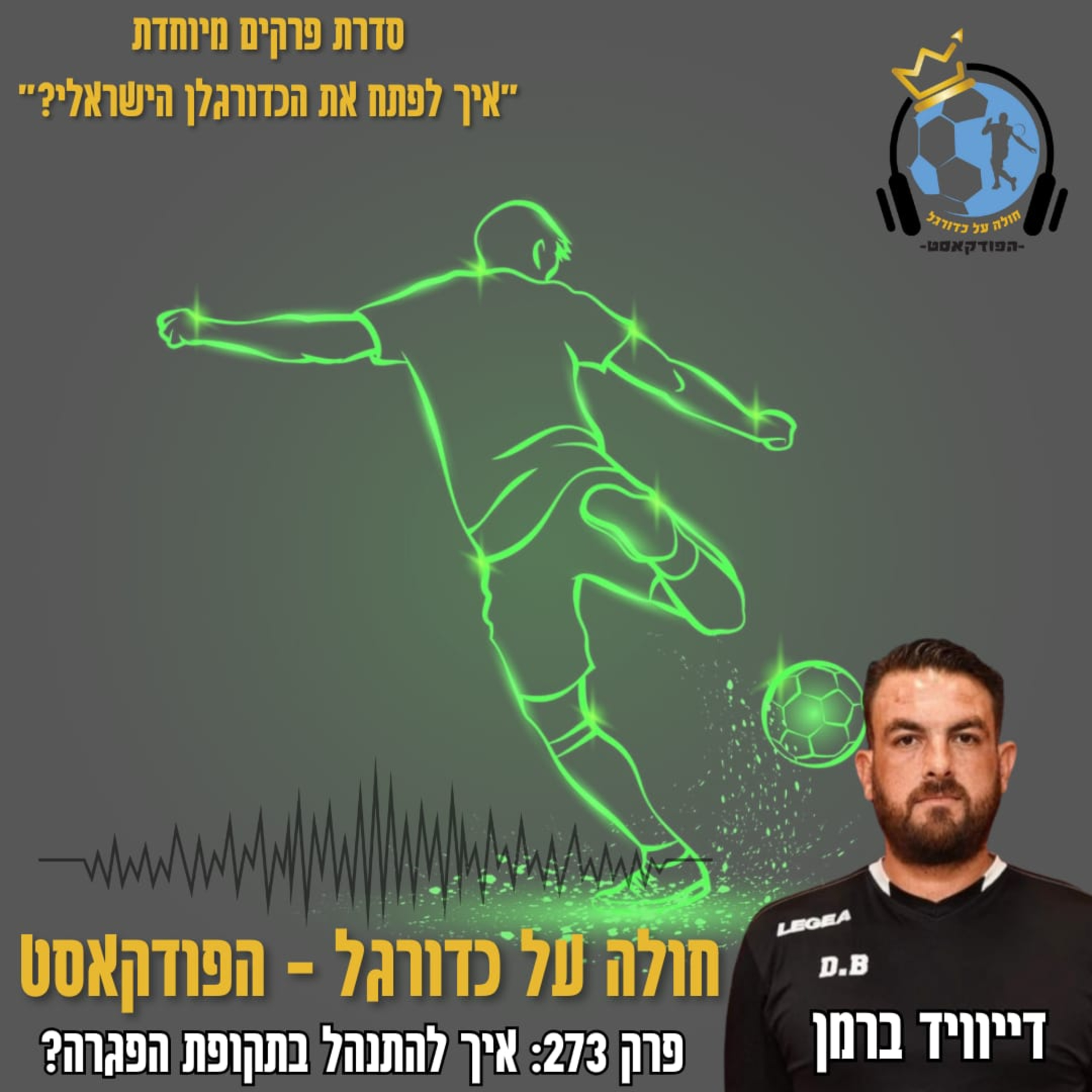 פרק 273: איך להתנהל בתקופת הפגרה עם דייוויד ברמן episode artwork