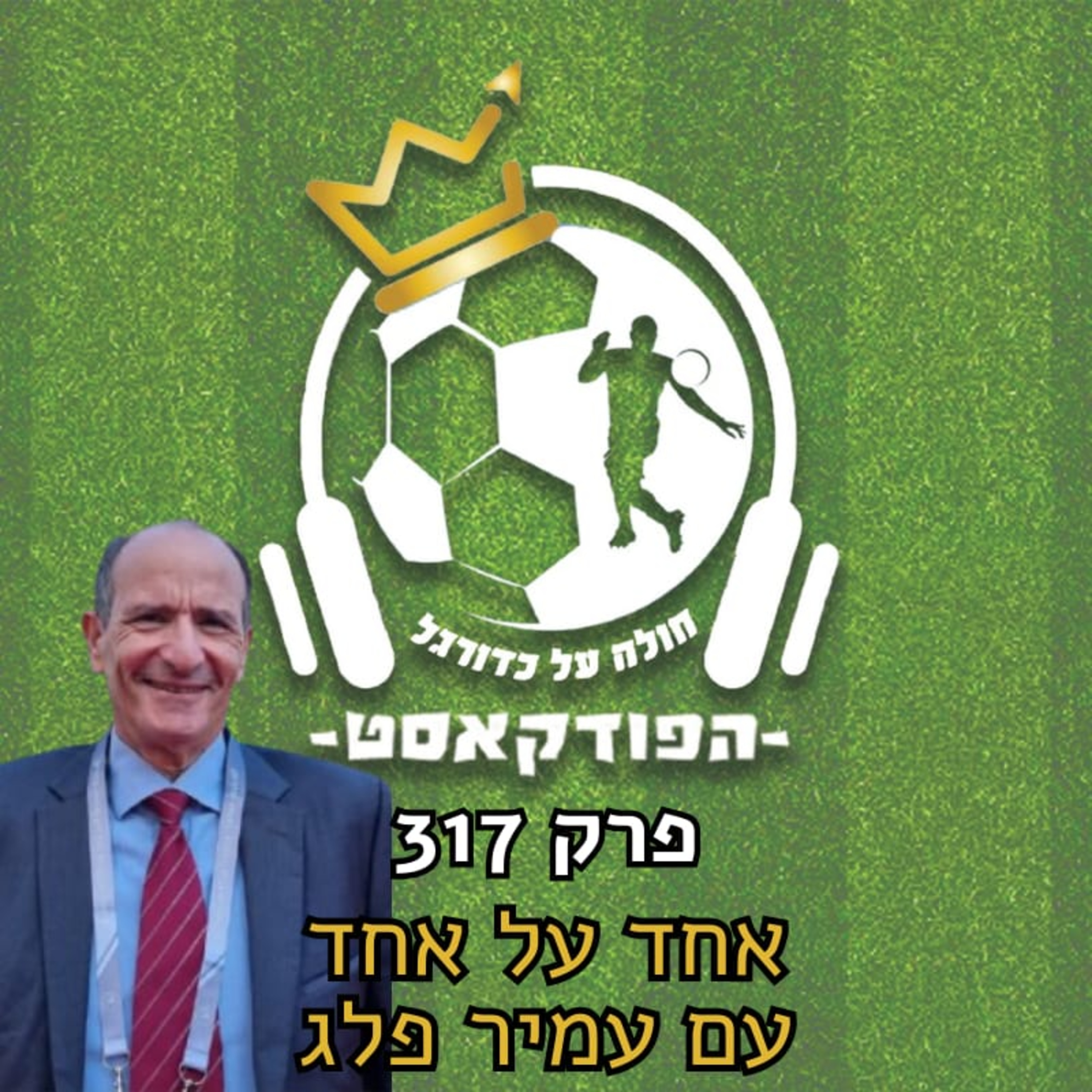 אחד על אחד עם עמיר פלג | פרק 317 episode artwork