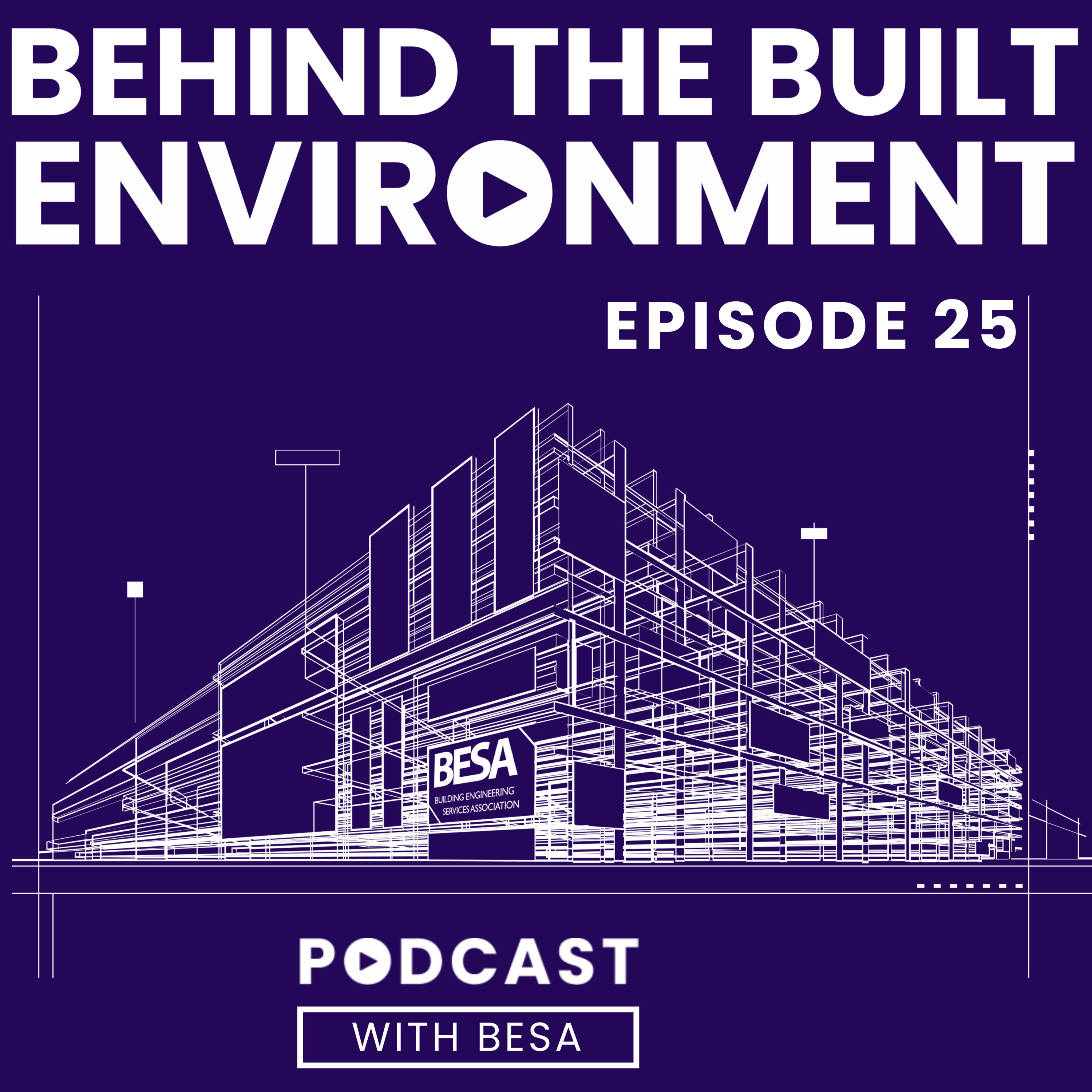 Artwork for Behind the Built Environment