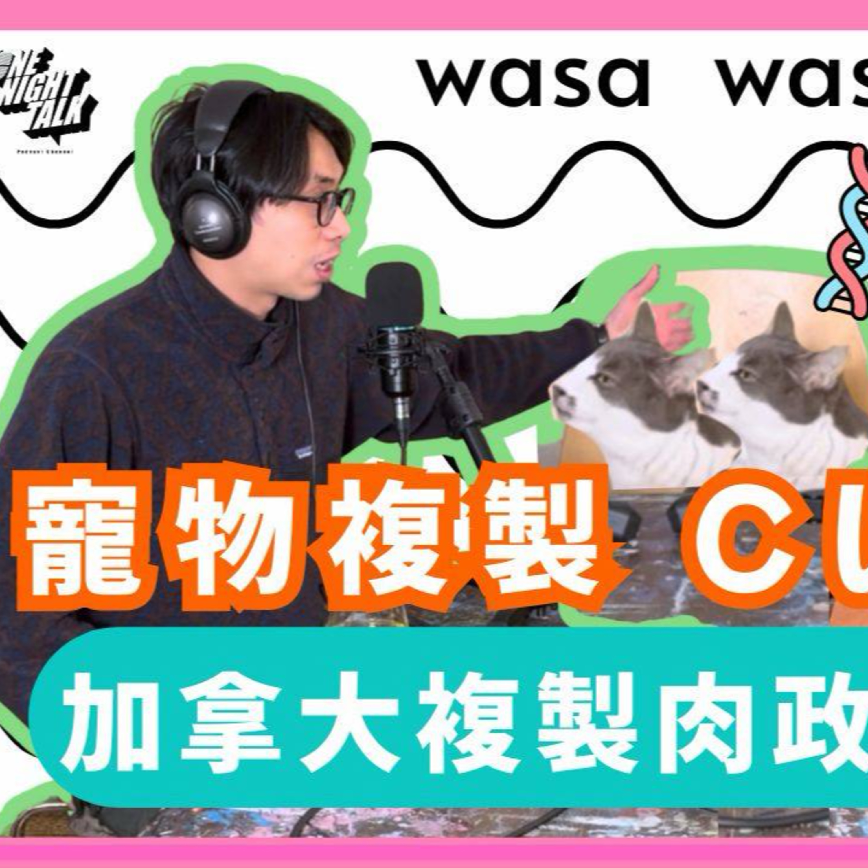 Ep.800 「Cloning - 寵物複製!!」 加拿大複製肉政策惹爭議！ 「wasa..wasa..」 ONT (11.25.2025) 主持：Emily, Daniel  episode artwork