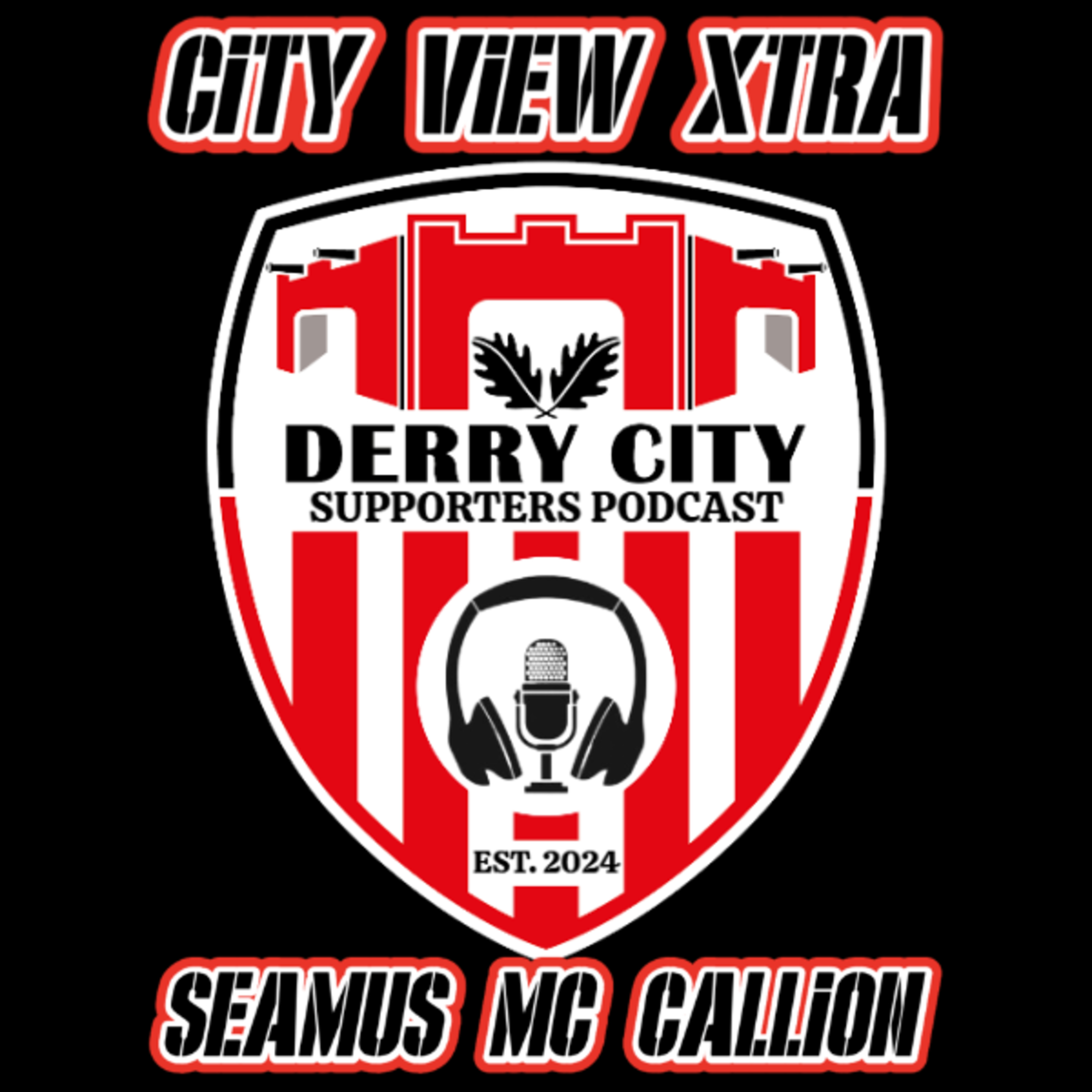 CITY VIEW XTRA: Seamus McCallion episode artwork