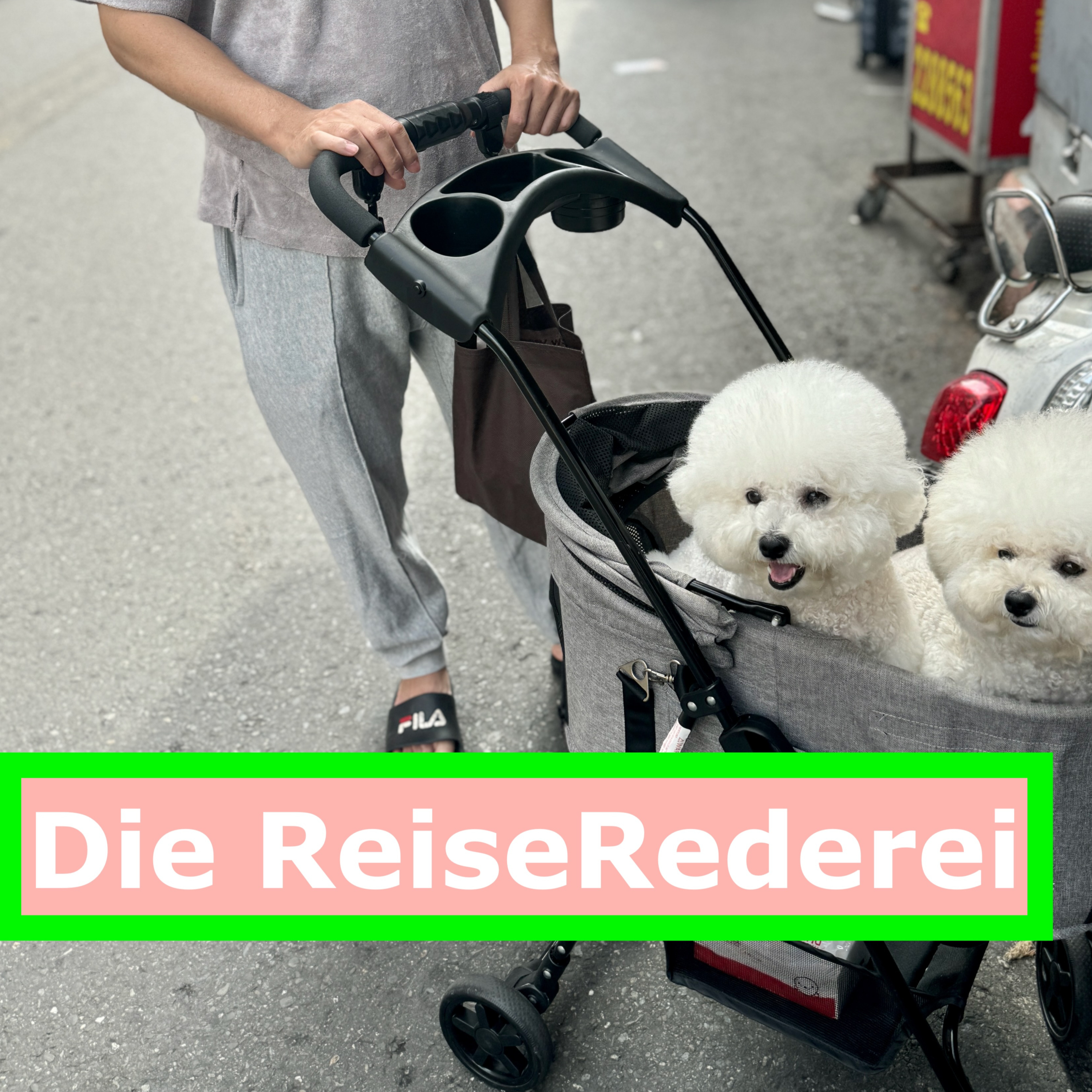 ReiseRederei: Tipps und Inspiration für deine nächste Reise