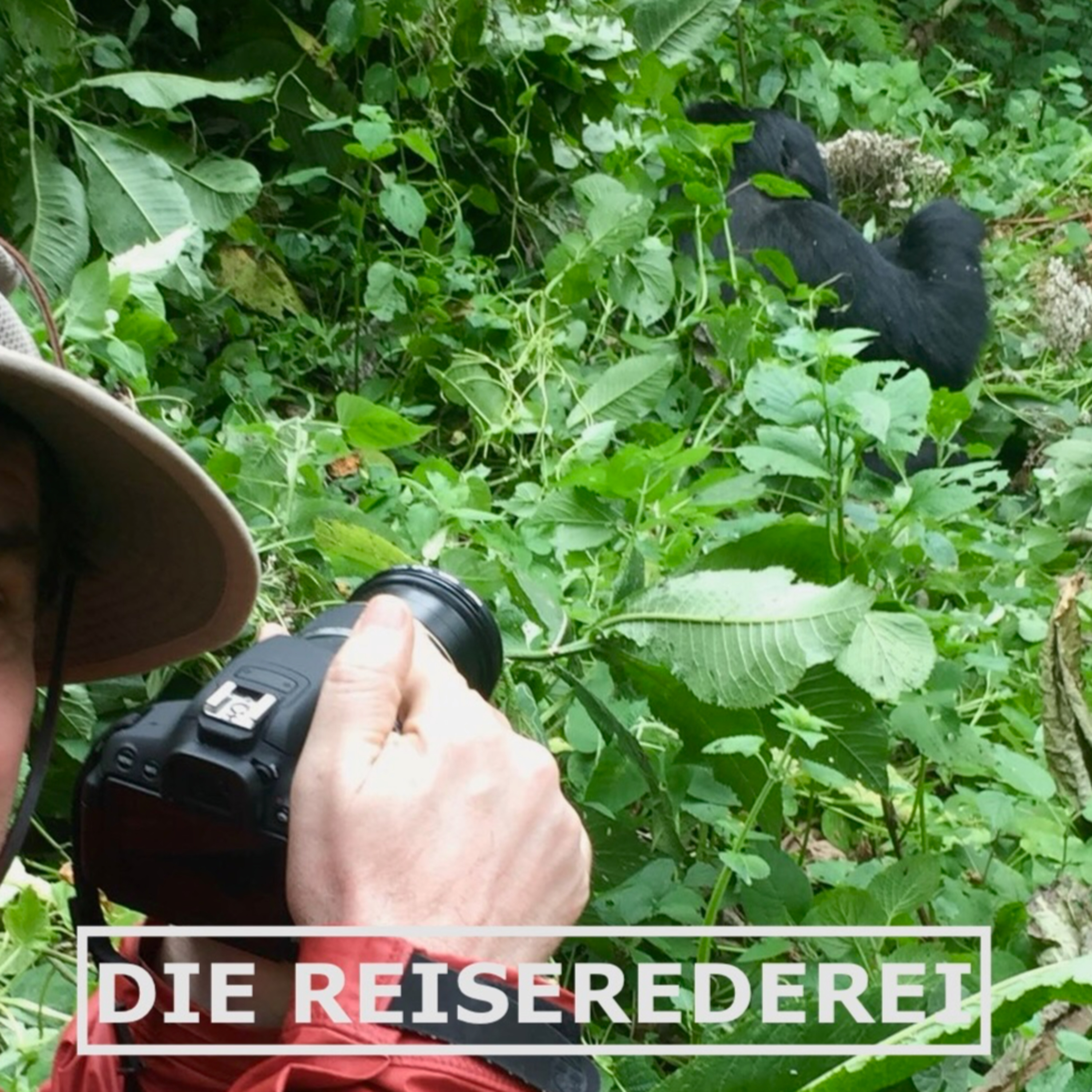 ReiseRederei: Tipps und Inspiration für deine nächste Reise