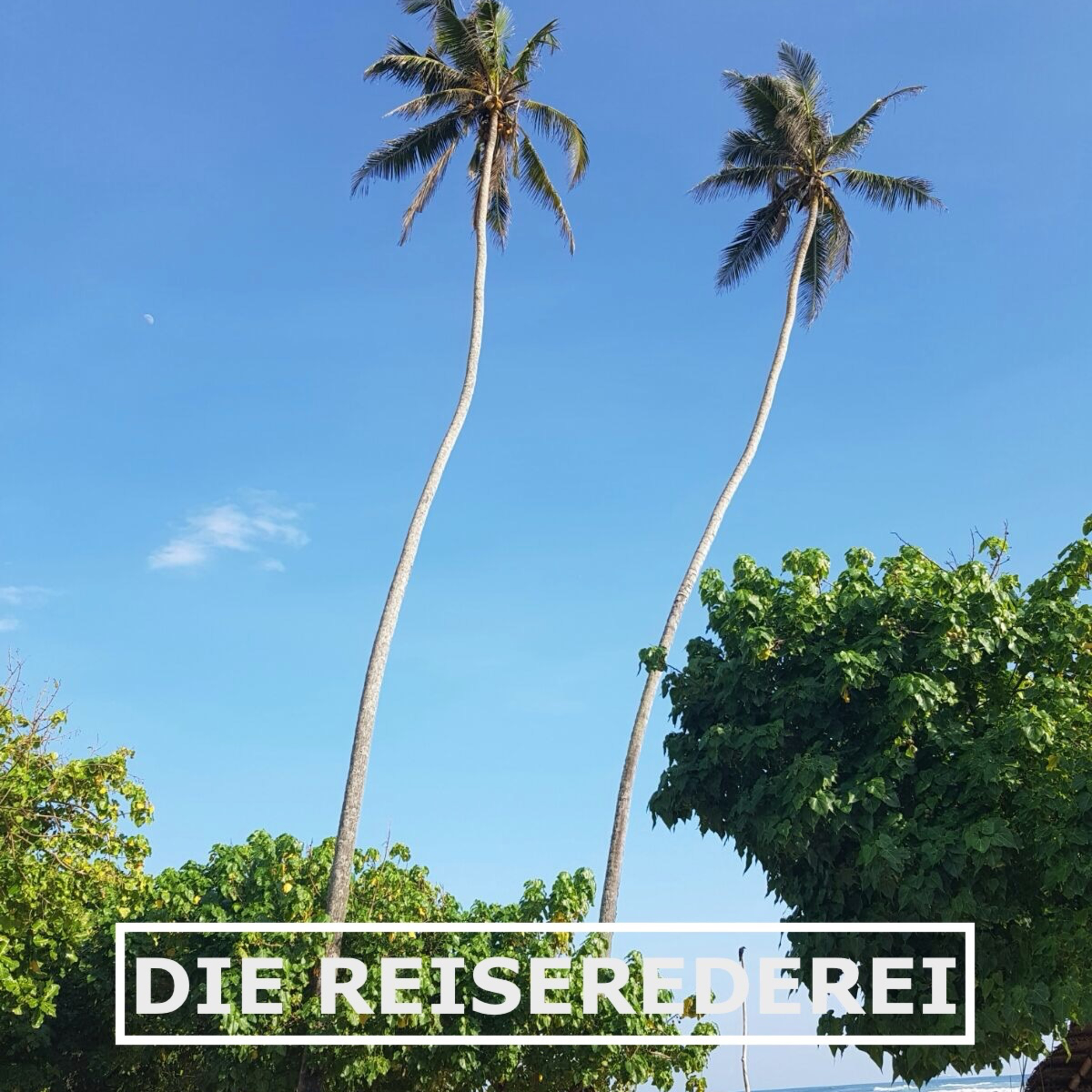 ReiseRederei: Tipps und Inspiration für deine nächste Reise