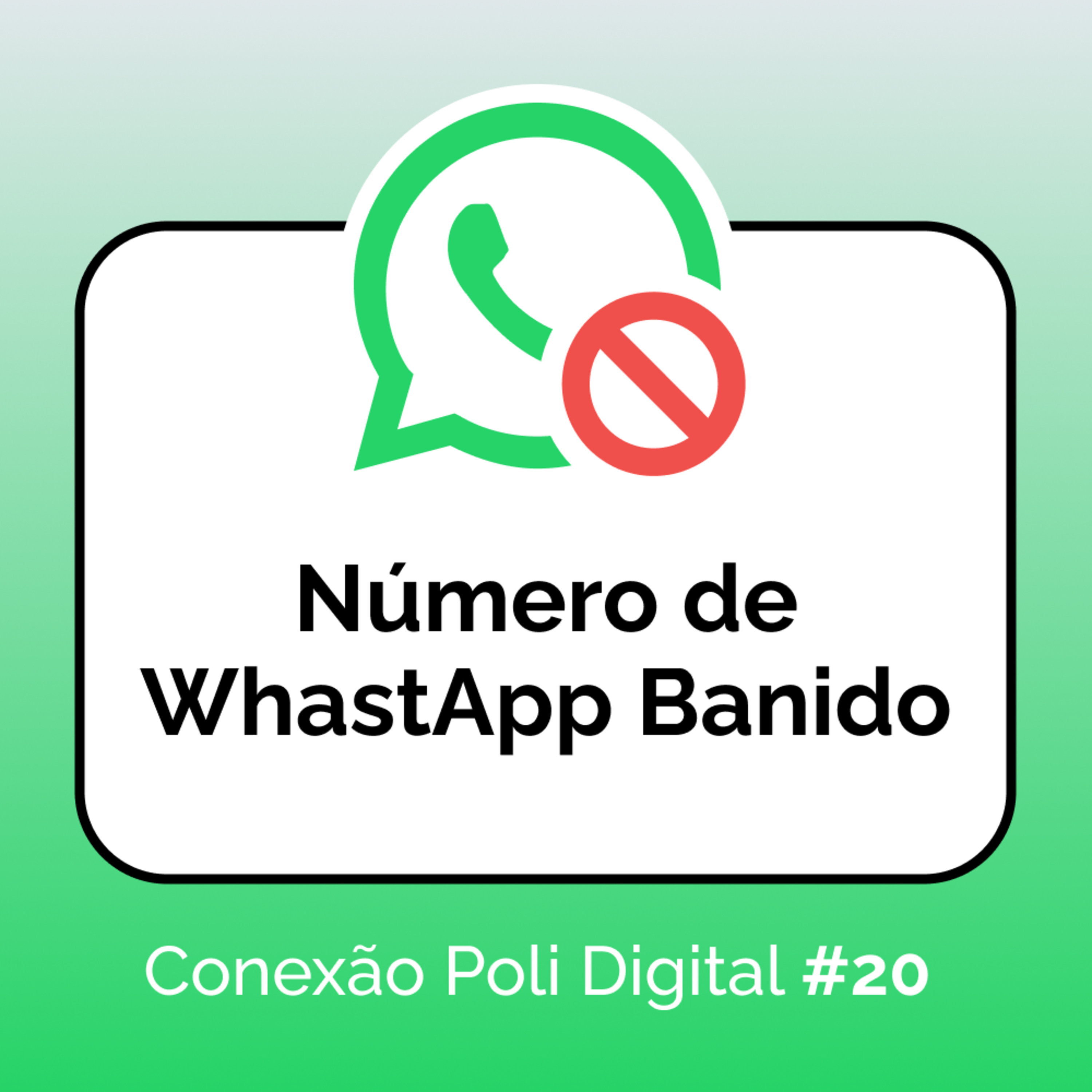 Conexão Poli Digital