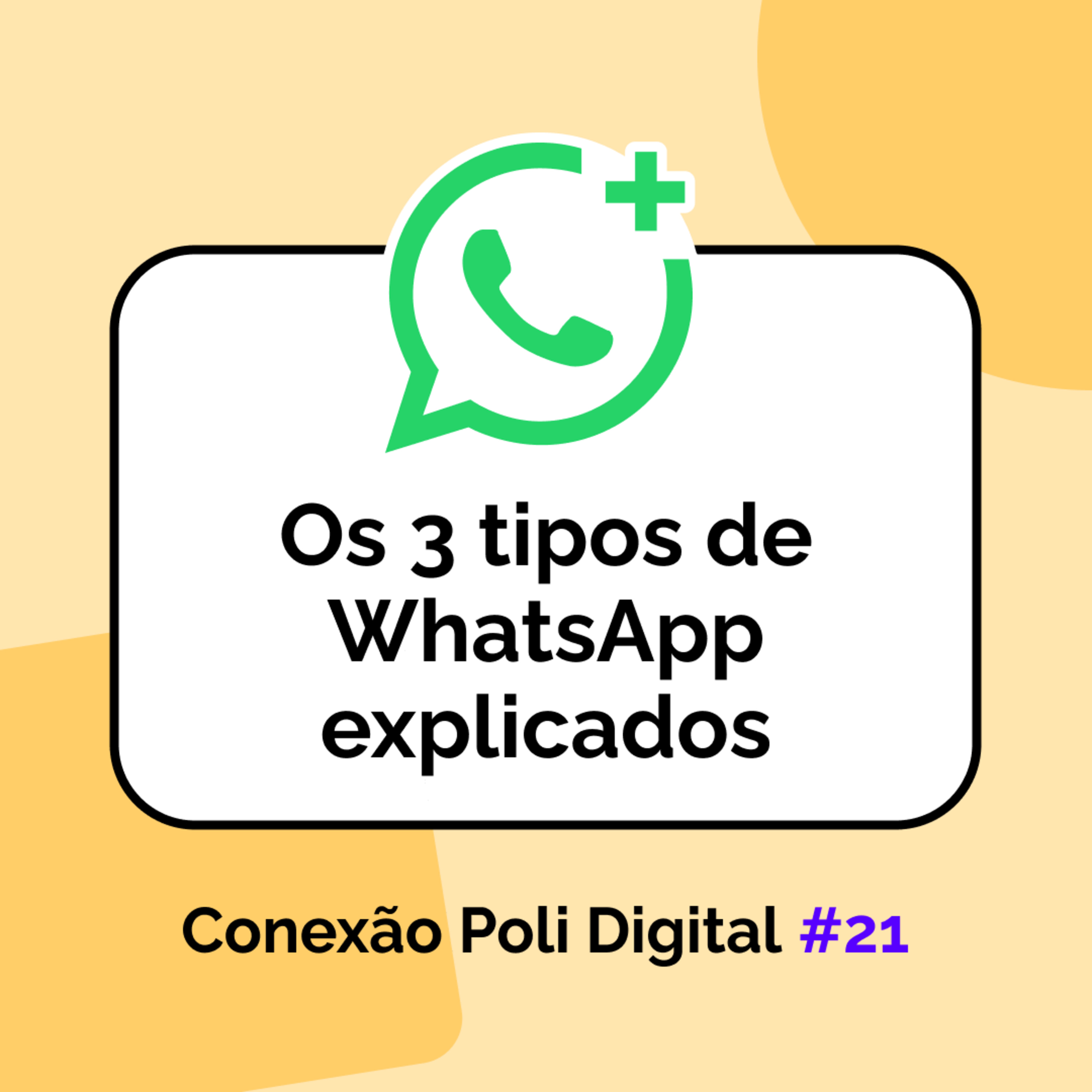 Conexão Poli Digital