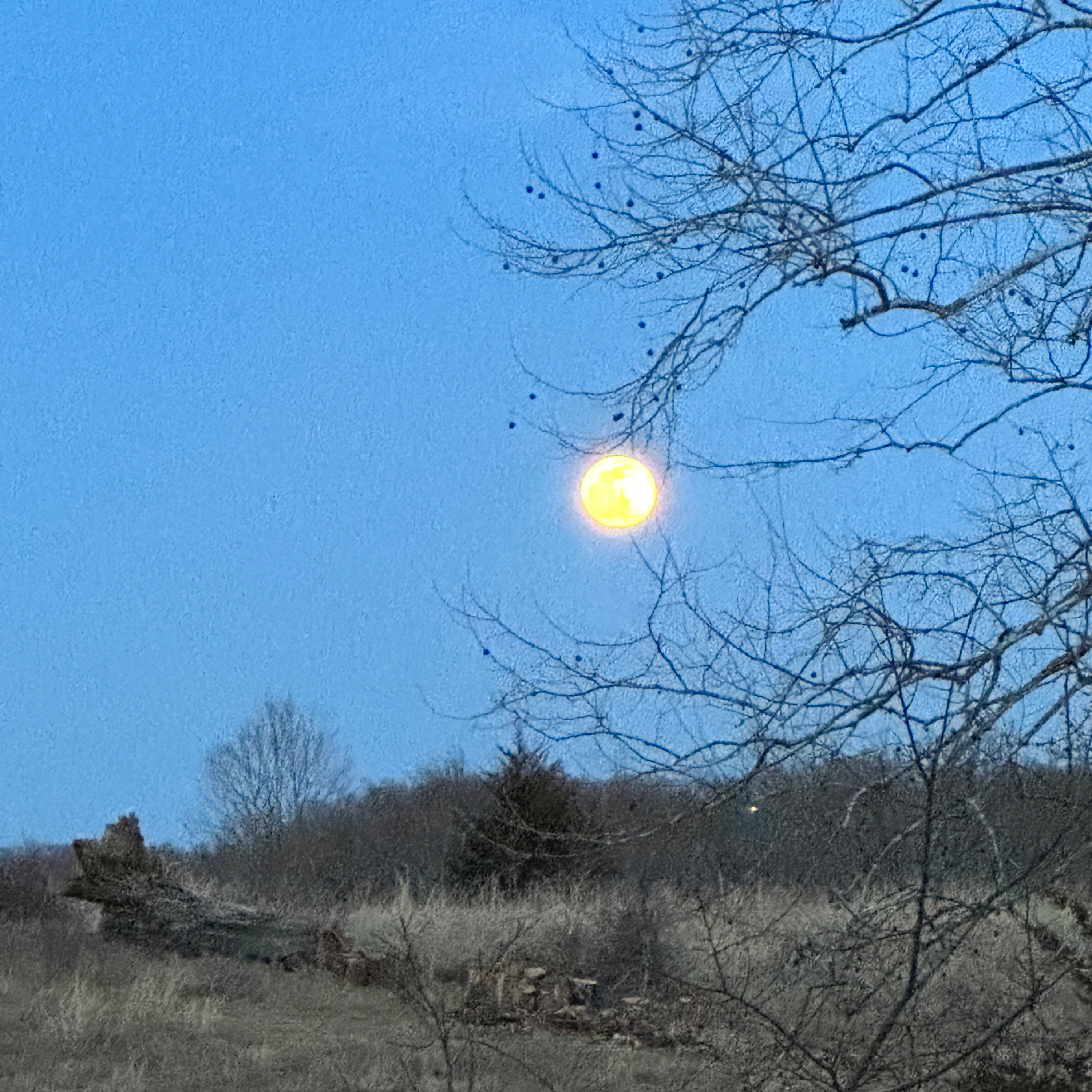 Pro Tip in Passing- Moon Phases