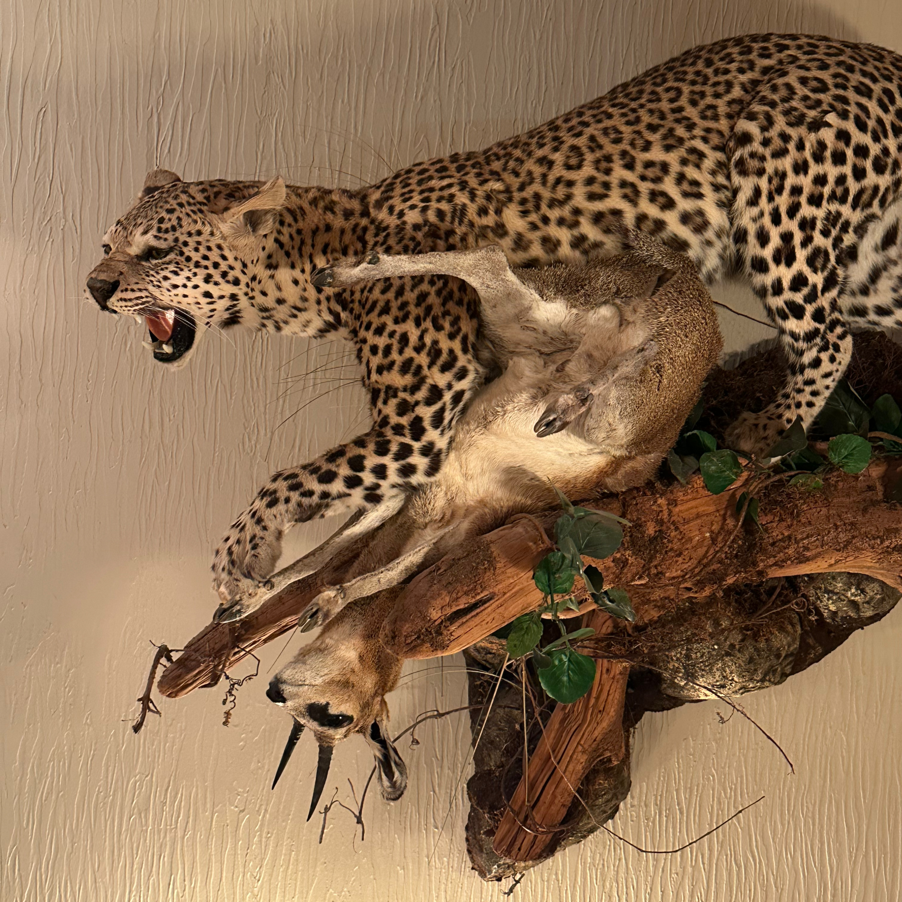 Underrated Plains Game Species Part 2
