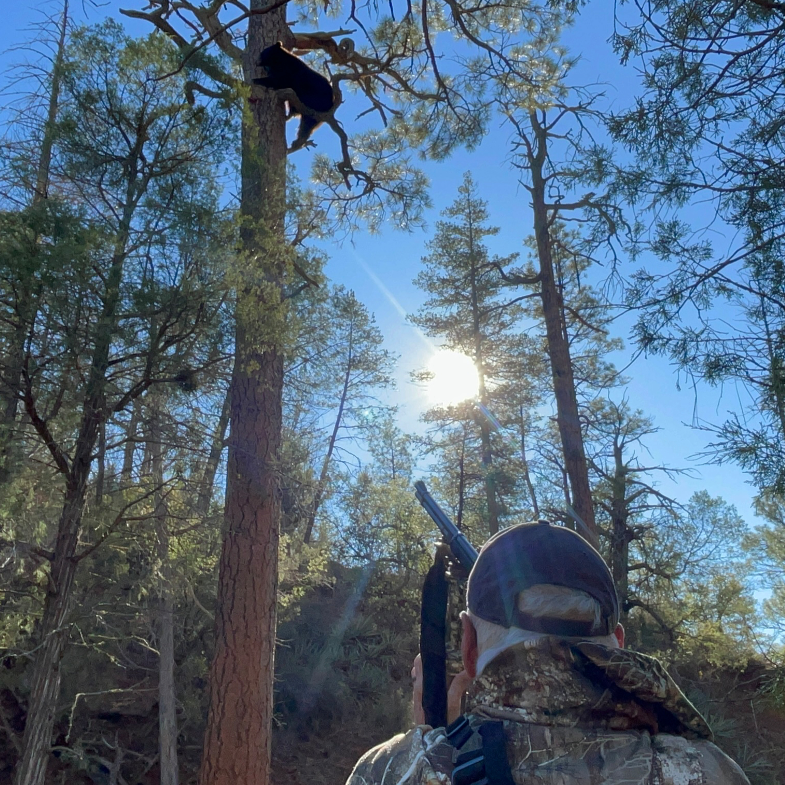 REUPLOAD- Apache Bear