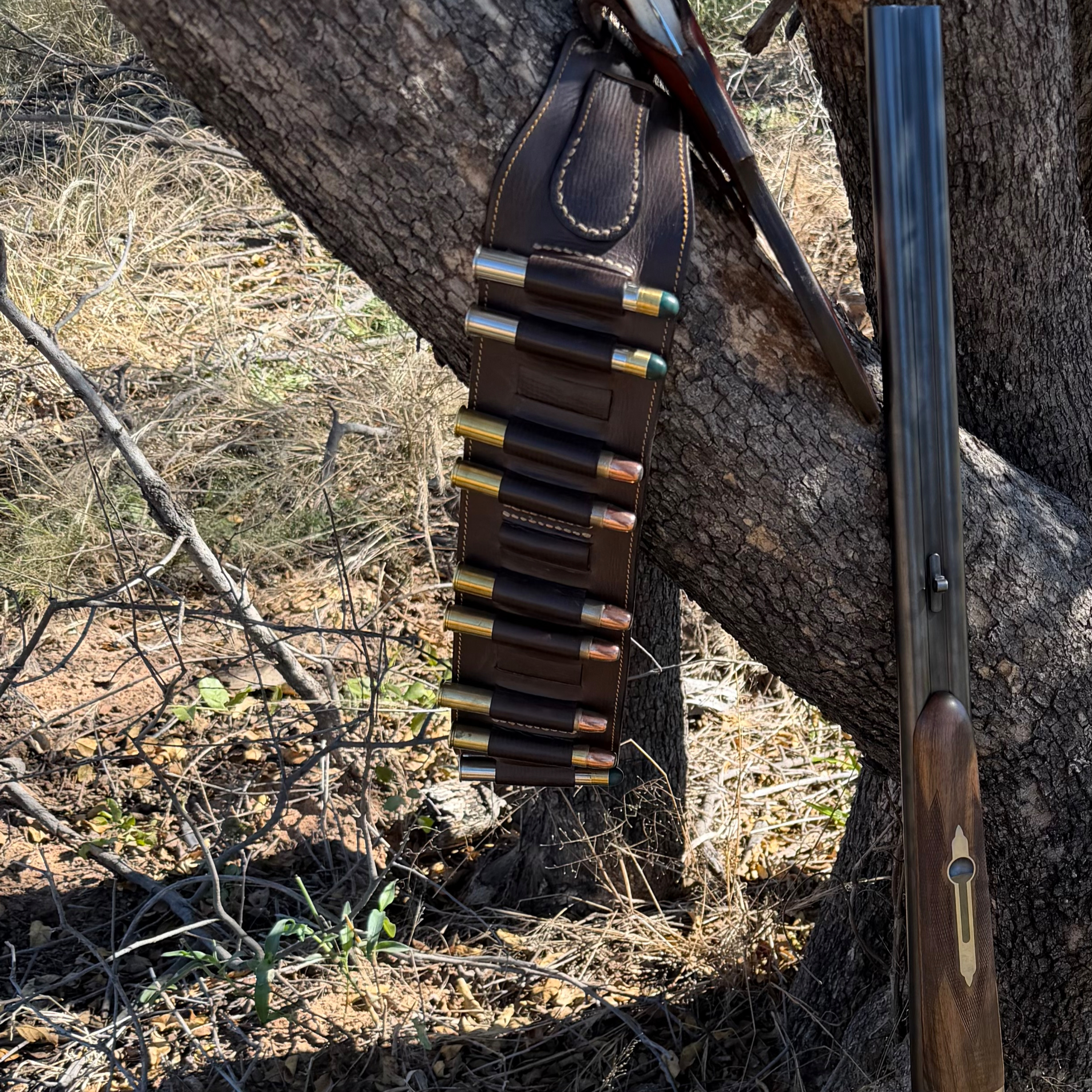 Pro Tips in Passing- Double Rifles and Q Tips episode artwork