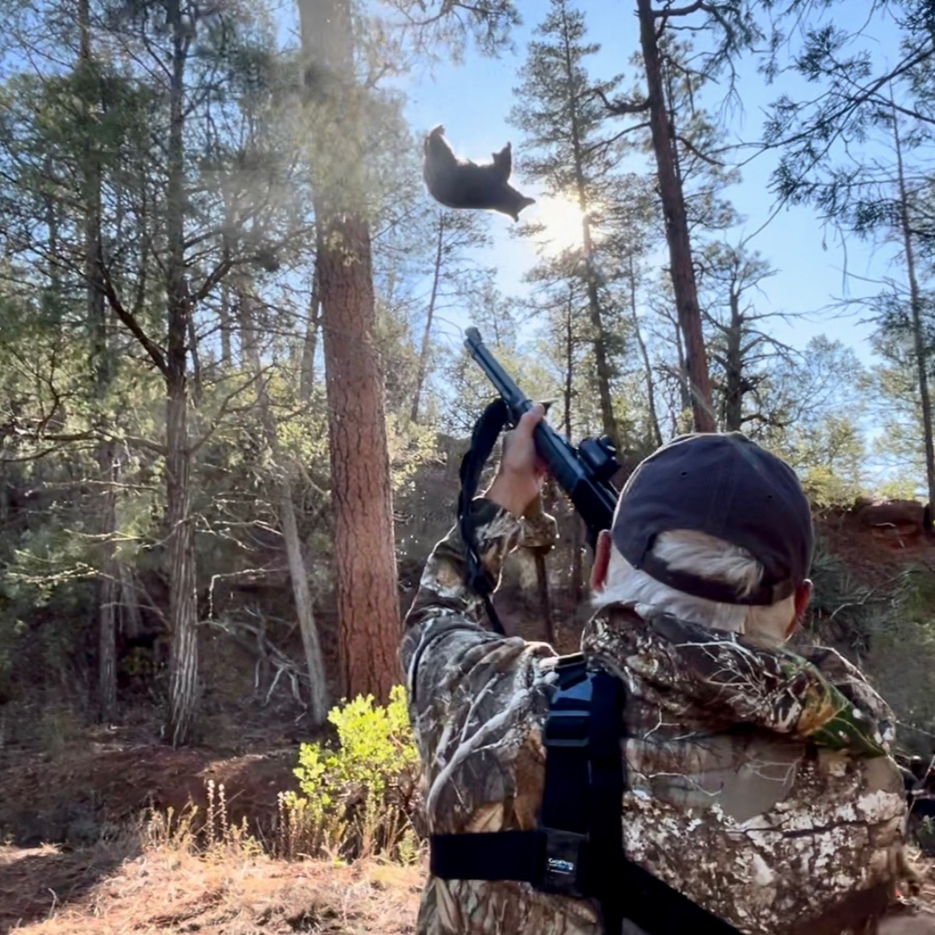 Black Bear Hunting Basics episode artwork